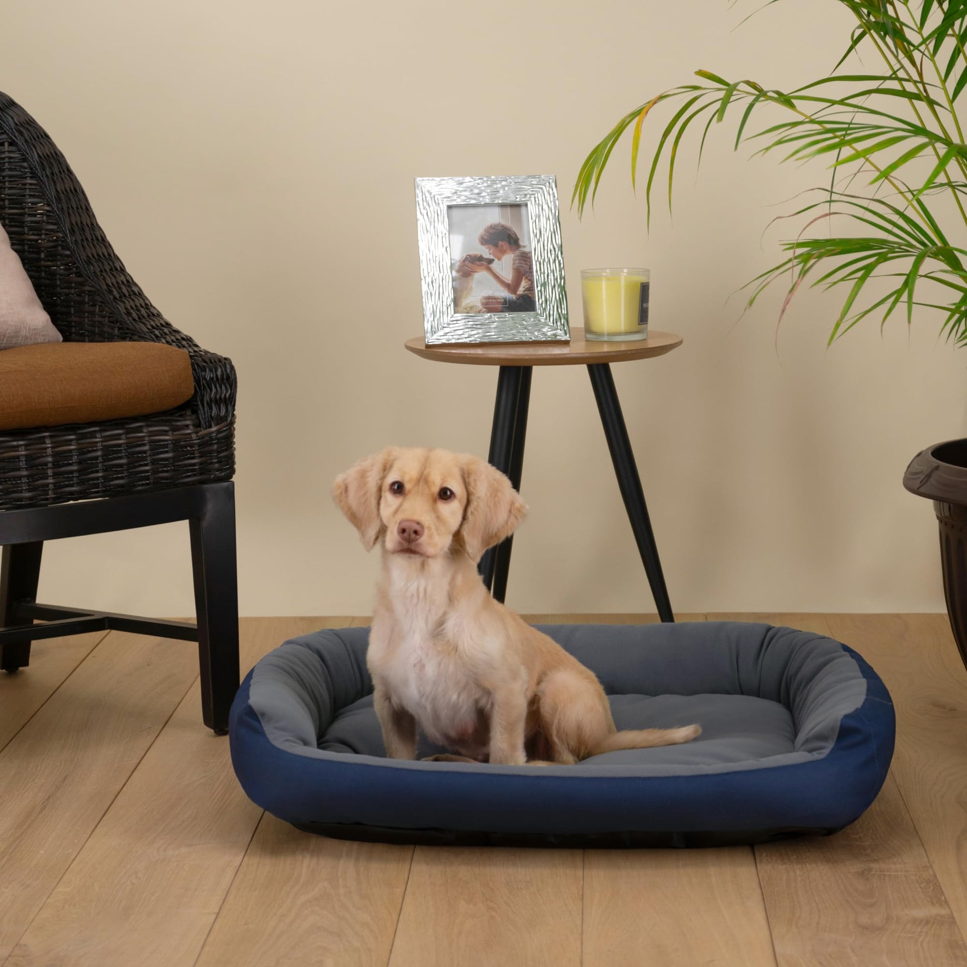 Cama para Perro PETS APPAREL HILLS Marino Gris Resistente Confortable Con Relleno Suave