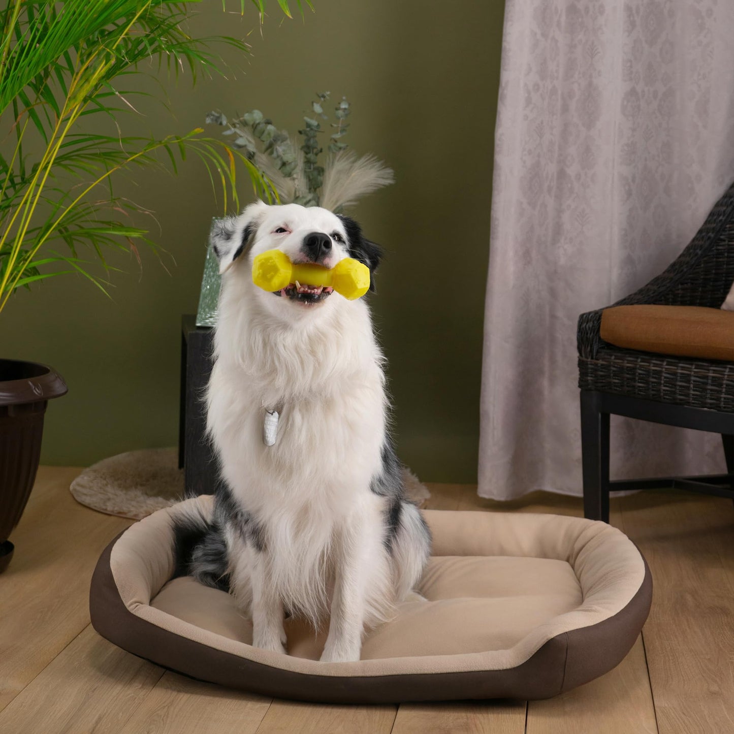 Cama para Perro Hills Cafe Beige Resistente y Confortable