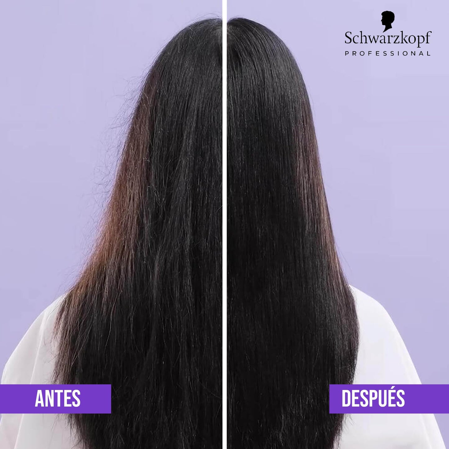 BC Bonacure BONACURE - Frizz Away Acondicionador Aceite de Babasú 200 ml, Desenreda y Controla el Cabello, Control Antiescrespamiento 72 h, Mejora Manejabilidad, Suaviza Superficie Capilar y Aporta Brillo Intenso