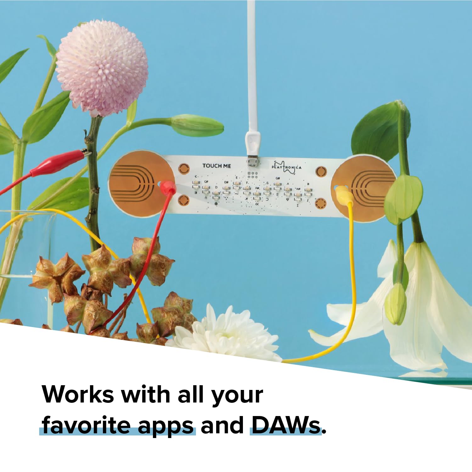 Instrumento Musical Driver MIDI TouchMe El Que Convierte Piel Agua o Flores en Sonido