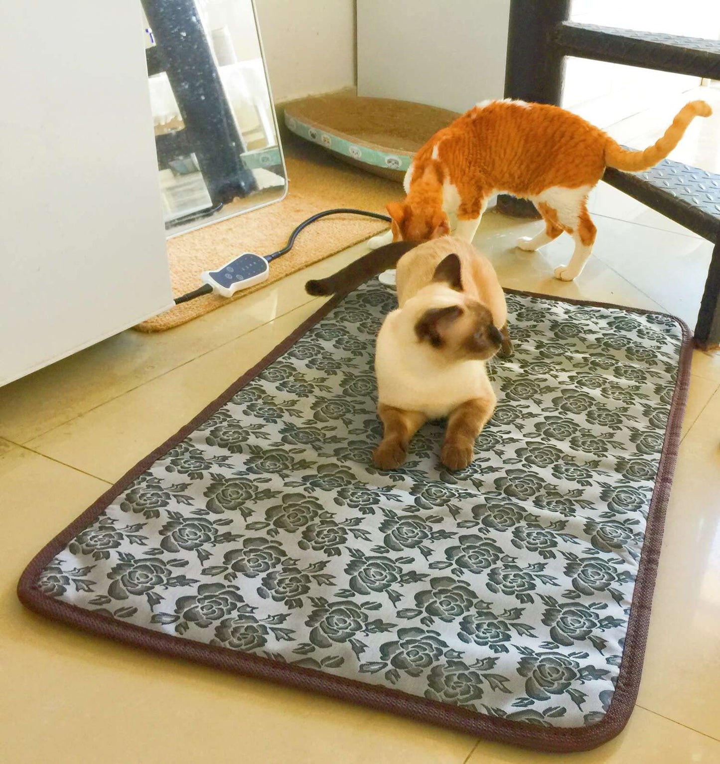 Cama térmica para perro, almohadilla térmica para perros, almohadilla térmica para cachorros en interiores, cama calentada para mascotas, cama para gatos al aire última intervensión, 33 pulgadas de largo x 21 pulgadas de ancho, termostato ajustable de 4 t