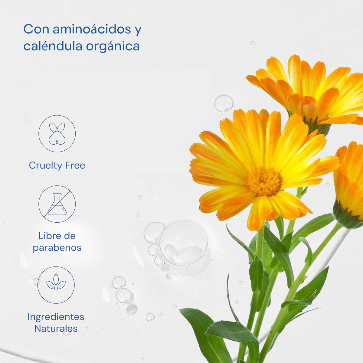 MARAMA | Protect Shampoo Para Cabello Teñido 500 ml – Contiene Aminoácidos y Caléndula Orgánica | Sin Sulfatos y Parabenos | Shampoo Antifrizz
