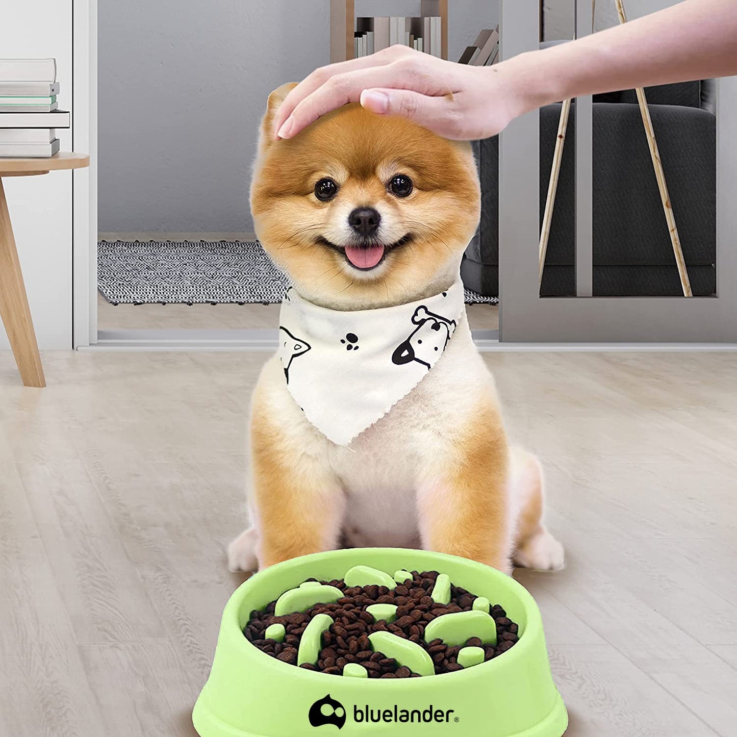 Bluelander Plato para Perro con Alimentación Lenta para Todo Tipo de Razas y Tamaños, Antideslizante, Evita Asfixia e Hinchazón, No Tóxico, Diseño Divertido, Ecológico y Fácil de Lavar (Verde)