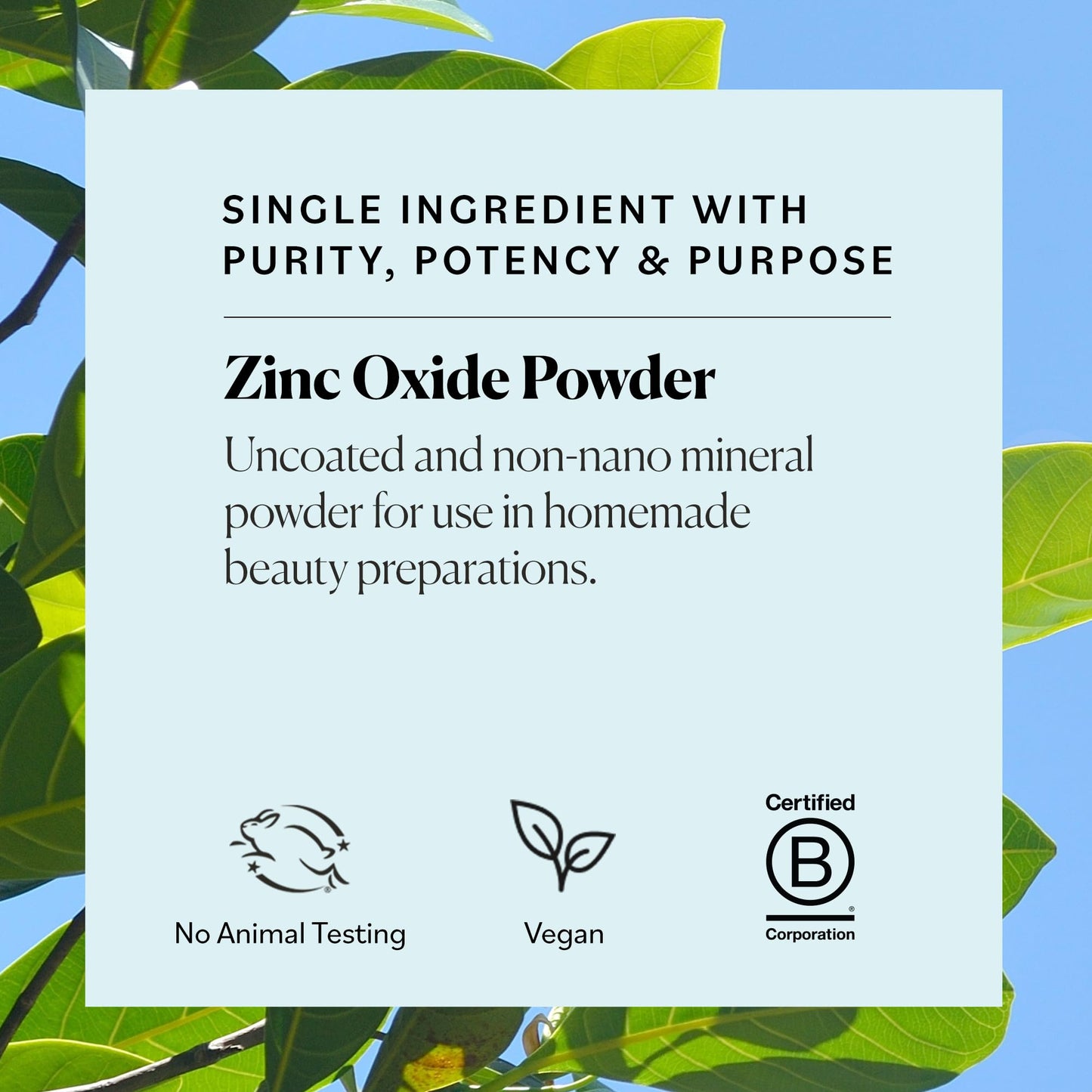 Sky Organics Óxido de Zinc en Polvo 16oz | Sin Revestimiento y Non-Nano | 100% Puro Grado Cosmético