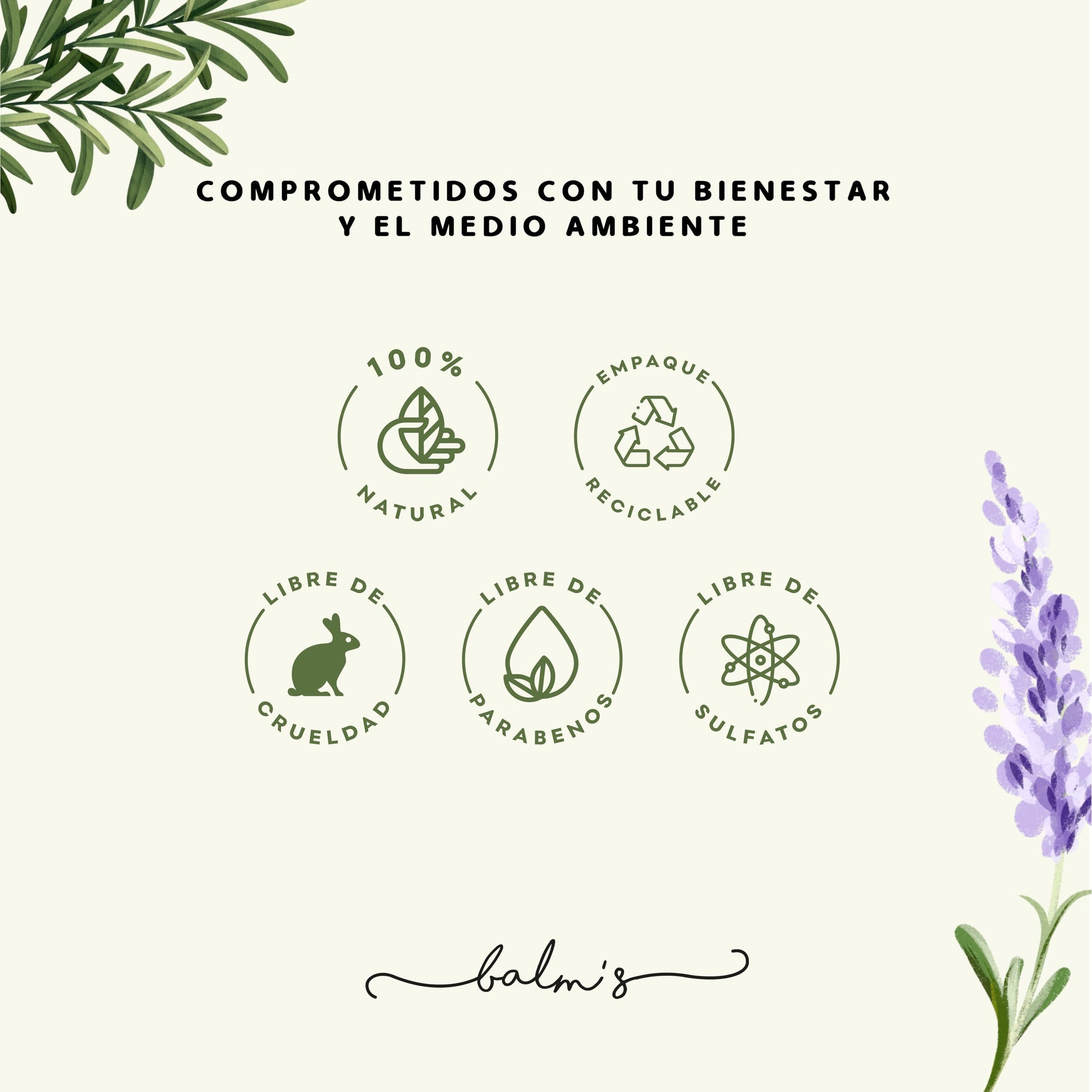 Balm's Dreams 45g - Balsamo para Relajación y Descanso Pomada Natural de Cera de Abeja y Aceite de Oliva con Aceites Esenciales de Lavanda y Romero Bebé Niños Adultos