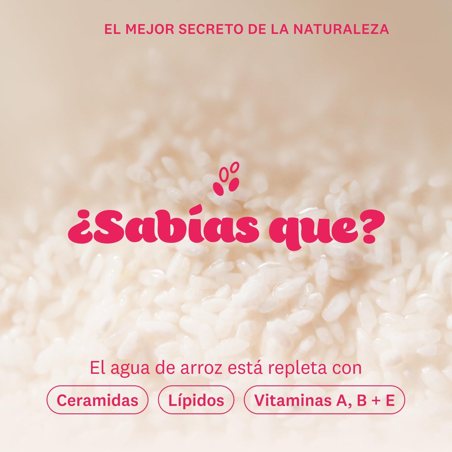The Face Shop Rice Water Bright - Aceite Limpiador Facial con Agua de Arroz y Jojoba 150 ml | Skincare Coreano Iluminador | Desmaquillante Nutritivo, Limpieza Profunda sin Sensación Grasosa | Fórmula Vegana