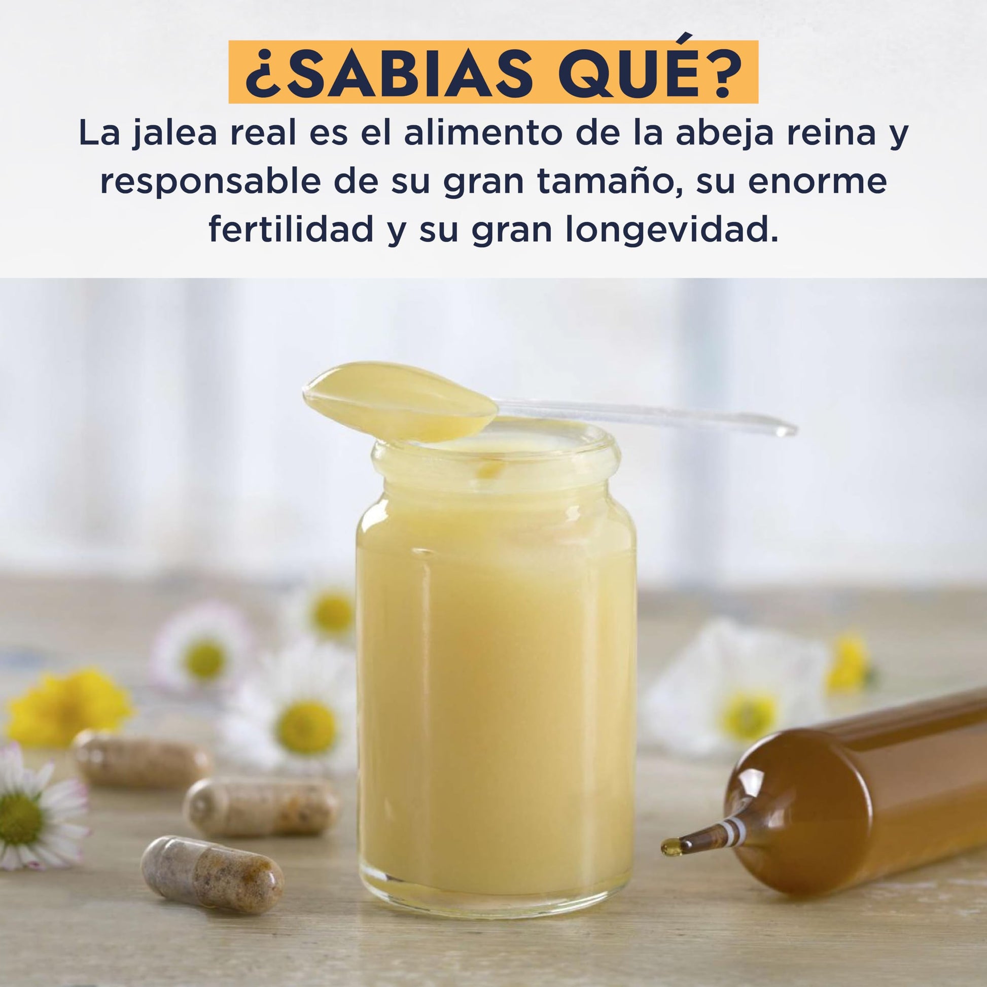 HEBBE - Extracto Vegetal de Jalea Real 100 g | Retrasa los Signos del Envejecimiento, Tonificante y Estimulante | Mejora la Hidratación y Elasticidad de la Piel | Aumenta la Producción de Colágeno | Contenido de 100 g