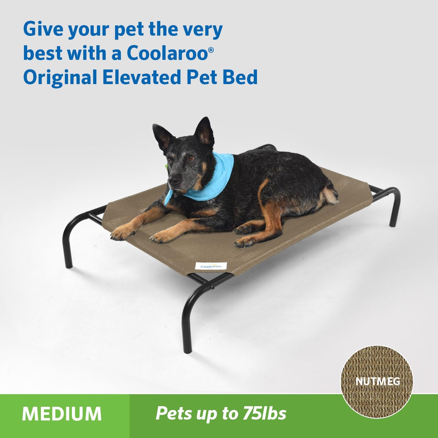 Coolaroo - Cama elevada para Mascotas
