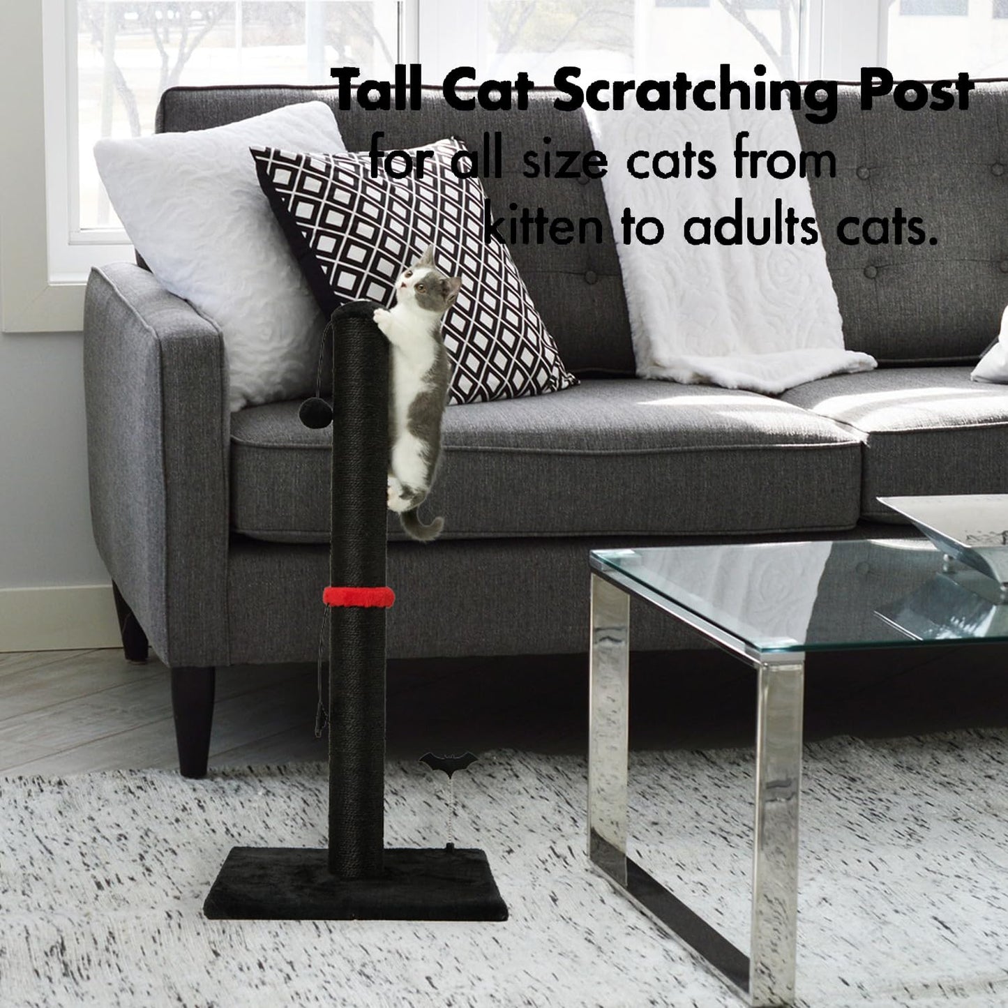 Poste Rascador de Sisal MECOOL Negro con Bola Colgante para Gatos Adultos y Gatitos de Interior