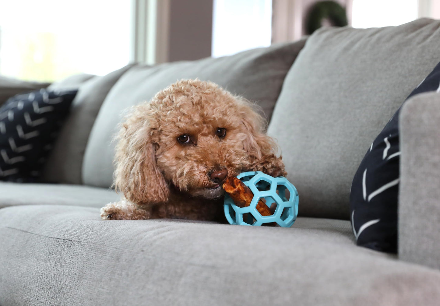 Juguete Bola de Rompecabezas JW Pet Azul Hule Natural Mediano para Perro