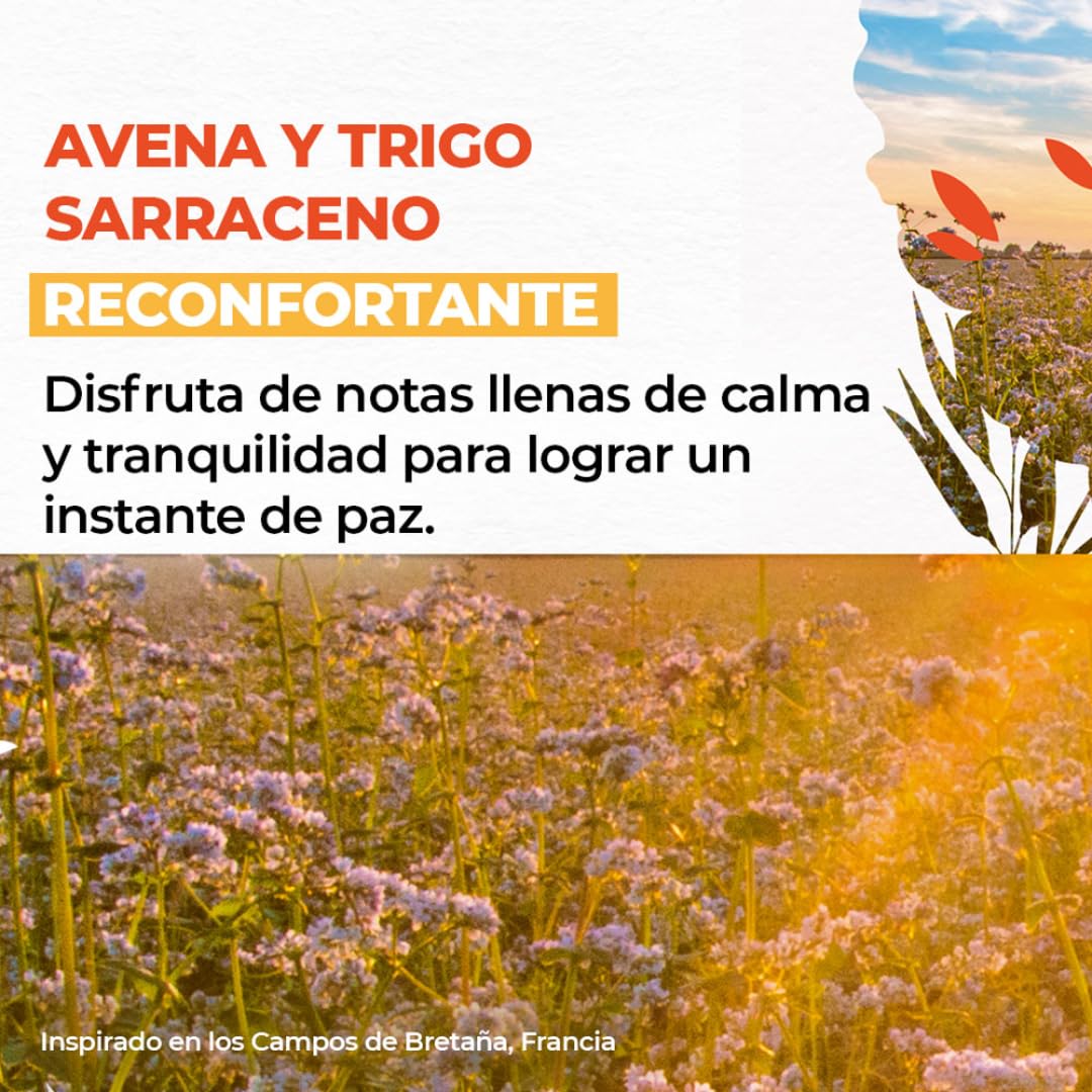 Yves Rocher 4 PACK jabón líquido para manos aromas RELAJANTES - RECONFORTANTES: Vainilla Francesa + Avena y Trigo Sarraceno + Coco + Oliva y Naranjo Amargo (190 ml C/U)