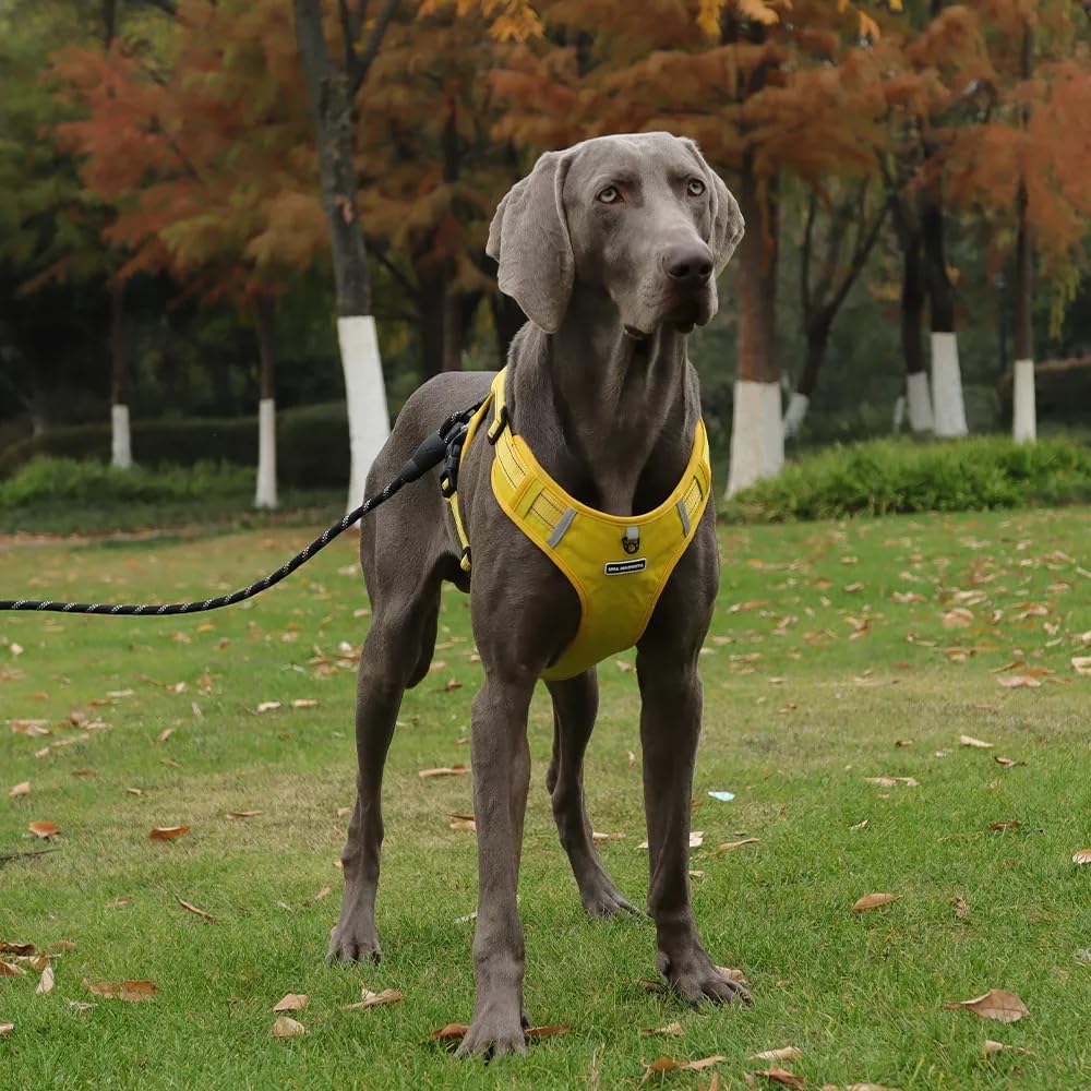 Arnés de Seguridad UNA MASCOTA Amarillo con Correa para Perro Chico Mediano y Grande