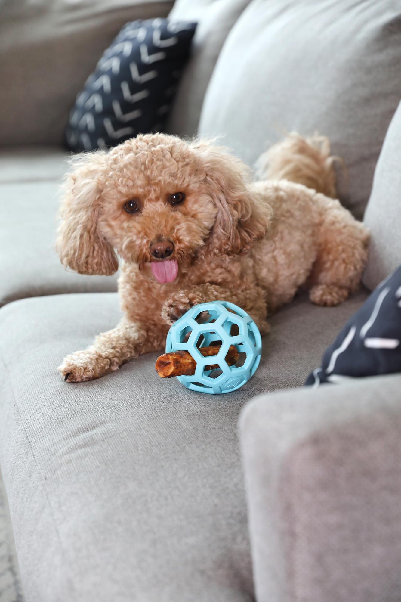 Juguete Bola de Rompecabezas JW Pet Azul Hule Natural Mediano para Perro