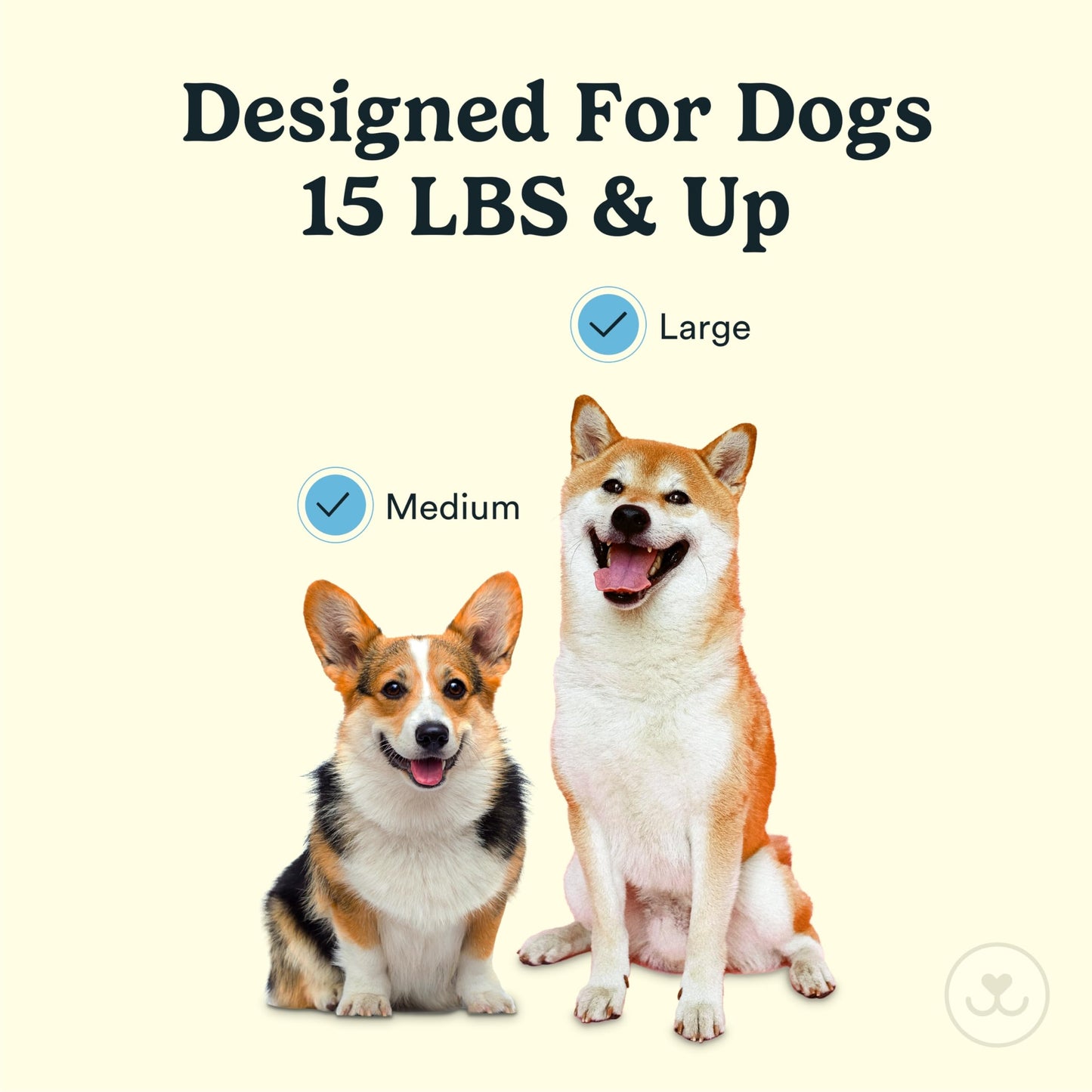 Jasper Macrobrush 360º, cepillo de dientes para perros medianos a grandes, kit de cepillo de dientes de perro de cerdas blandas, mango antideslizante premium con 2 cabezales de cepillo de dientes