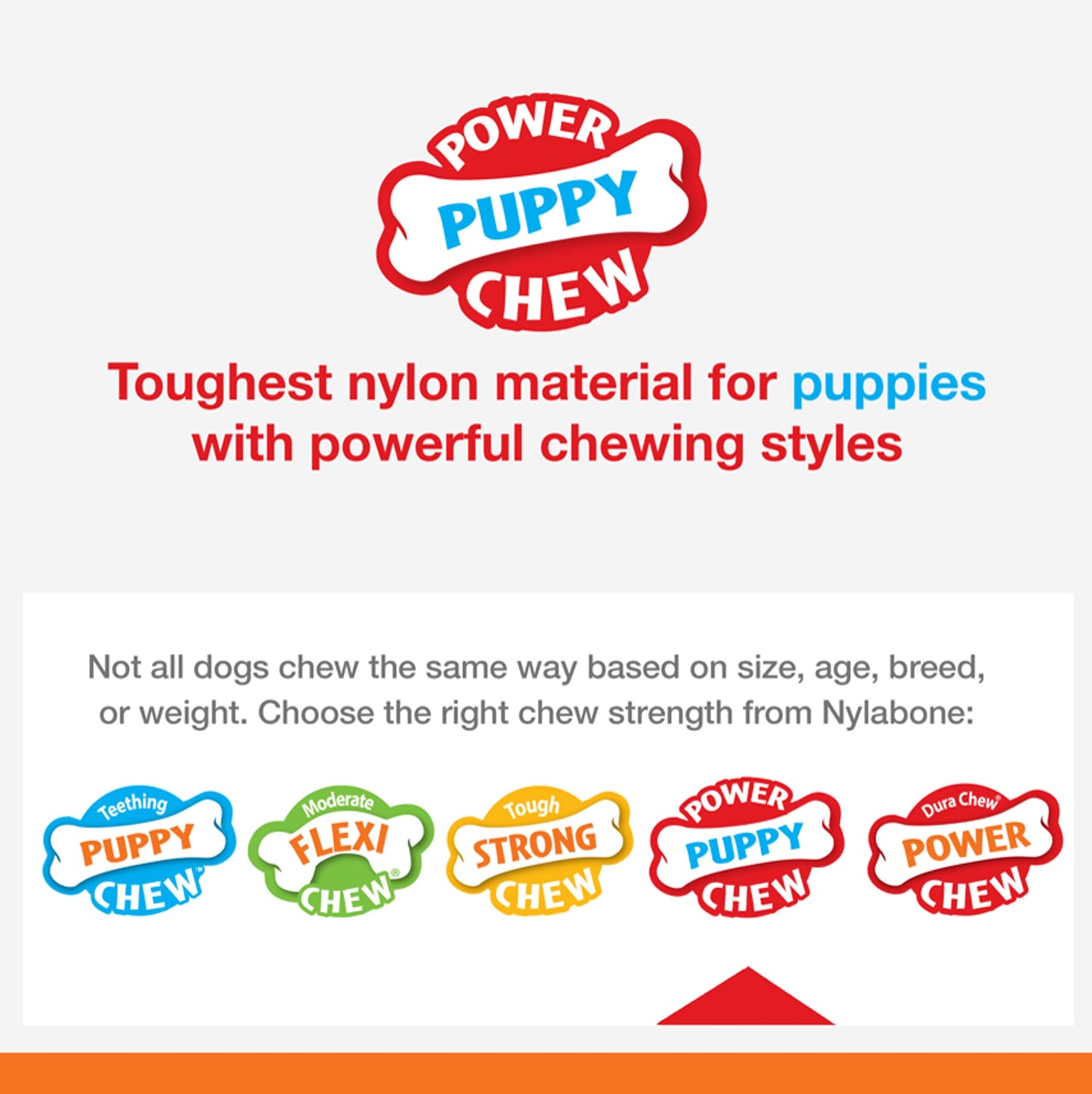Juguete Masticable de Nailon Nylabone Puppy Power Axis Pequeño para Cachorros