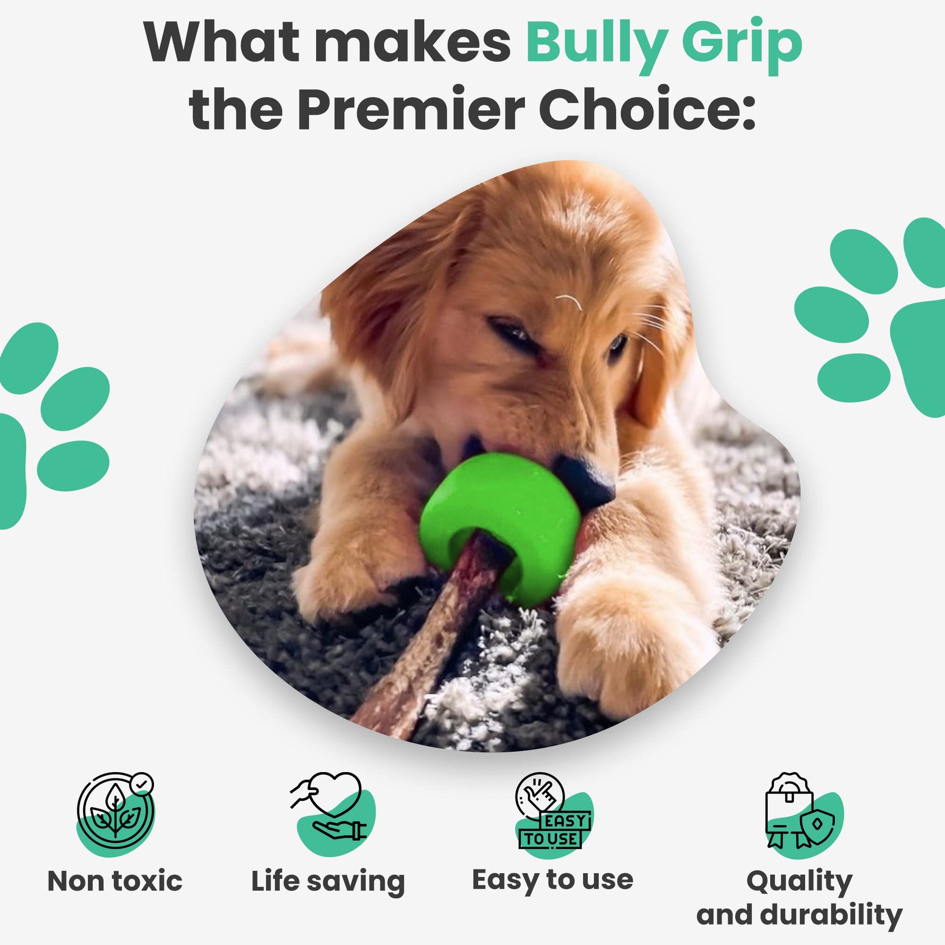 Bully Stick Holder - Soporte para Palo, tamaño pequeño, Juguete Interactivo para Perro y Dispositivo de Seguridad