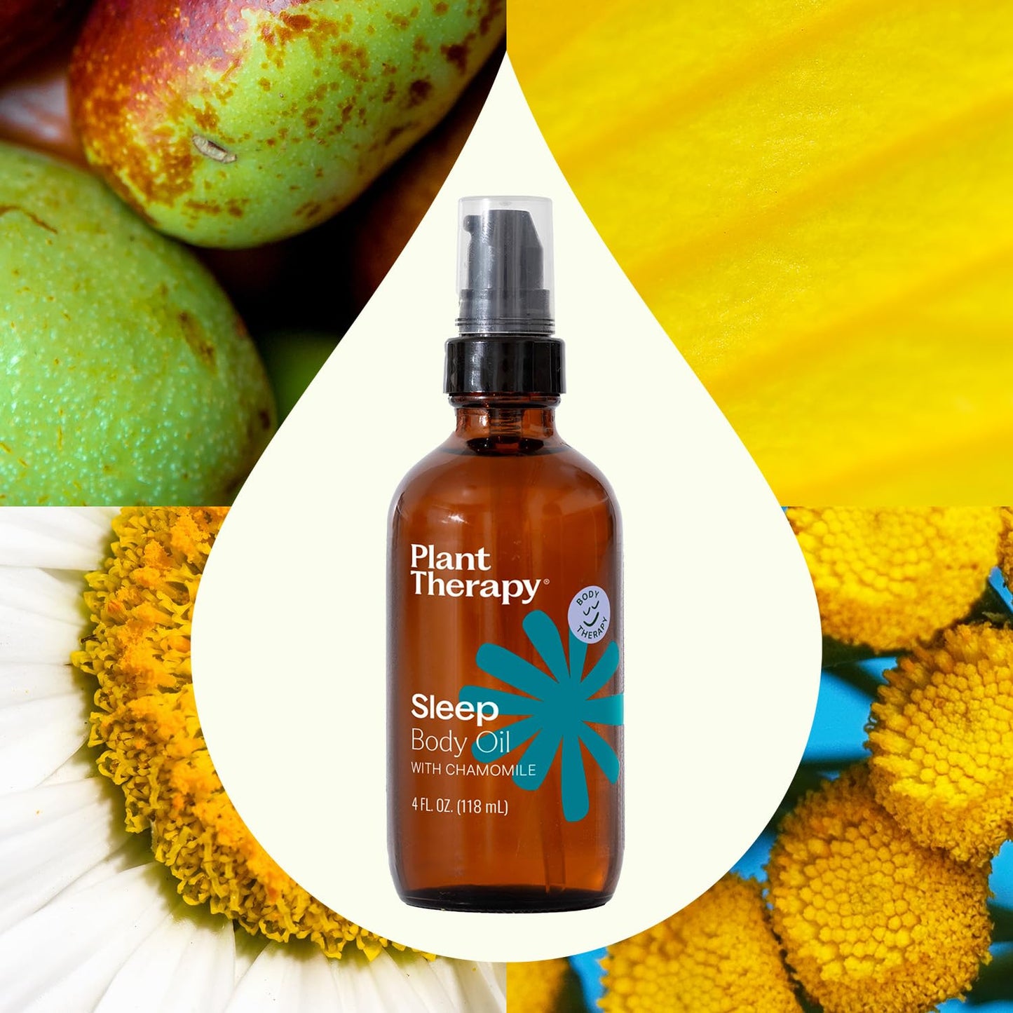Plant Therapy Aceite corporal para dormir con manzanilla de 4 onzas promueve una buena noche de descanso, calma una mente y cuerpo inquietos, suaviza y nutre la piel