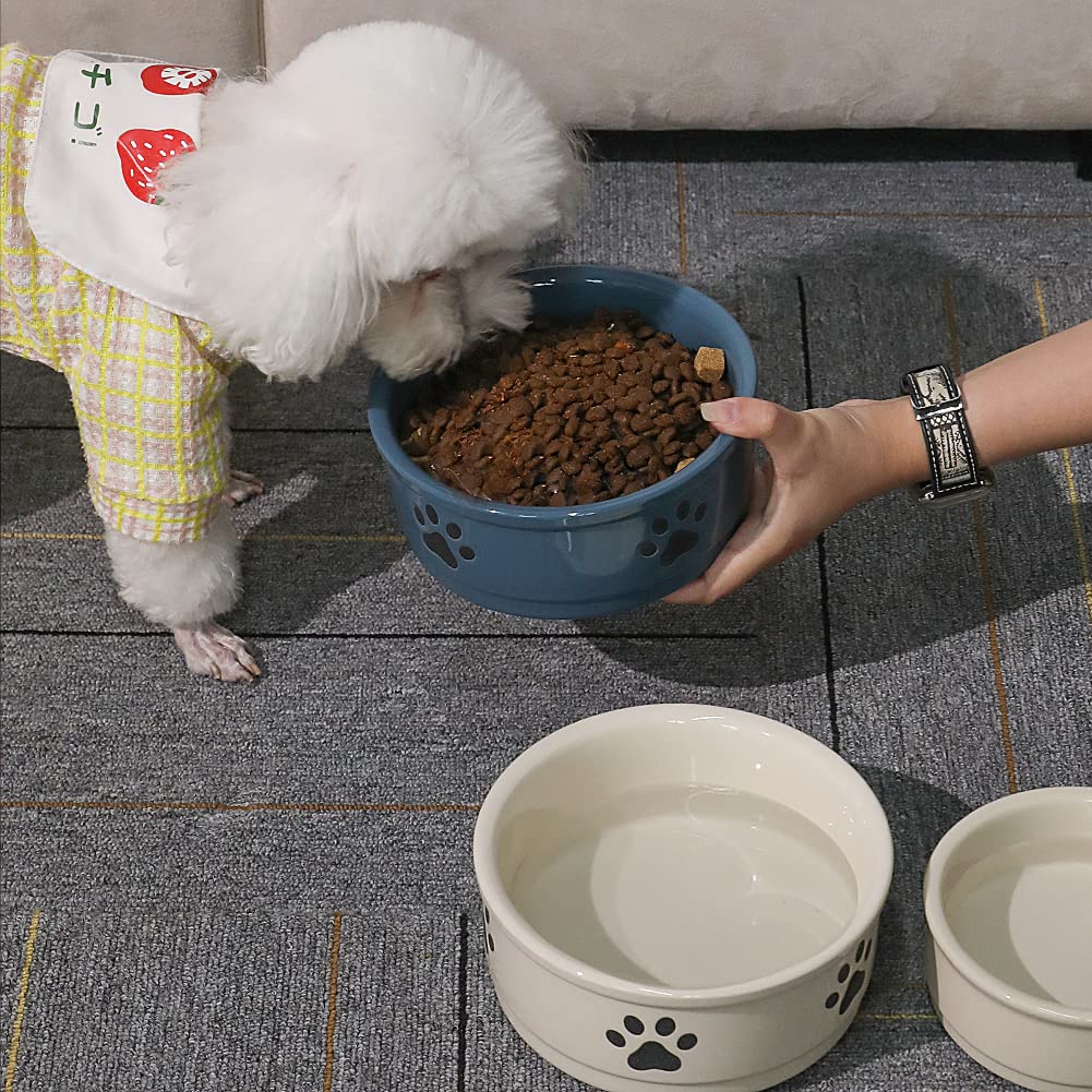 Cuencos De Cerámica SWEEJAR Blanco Diseño De Patas para Perros Grandes