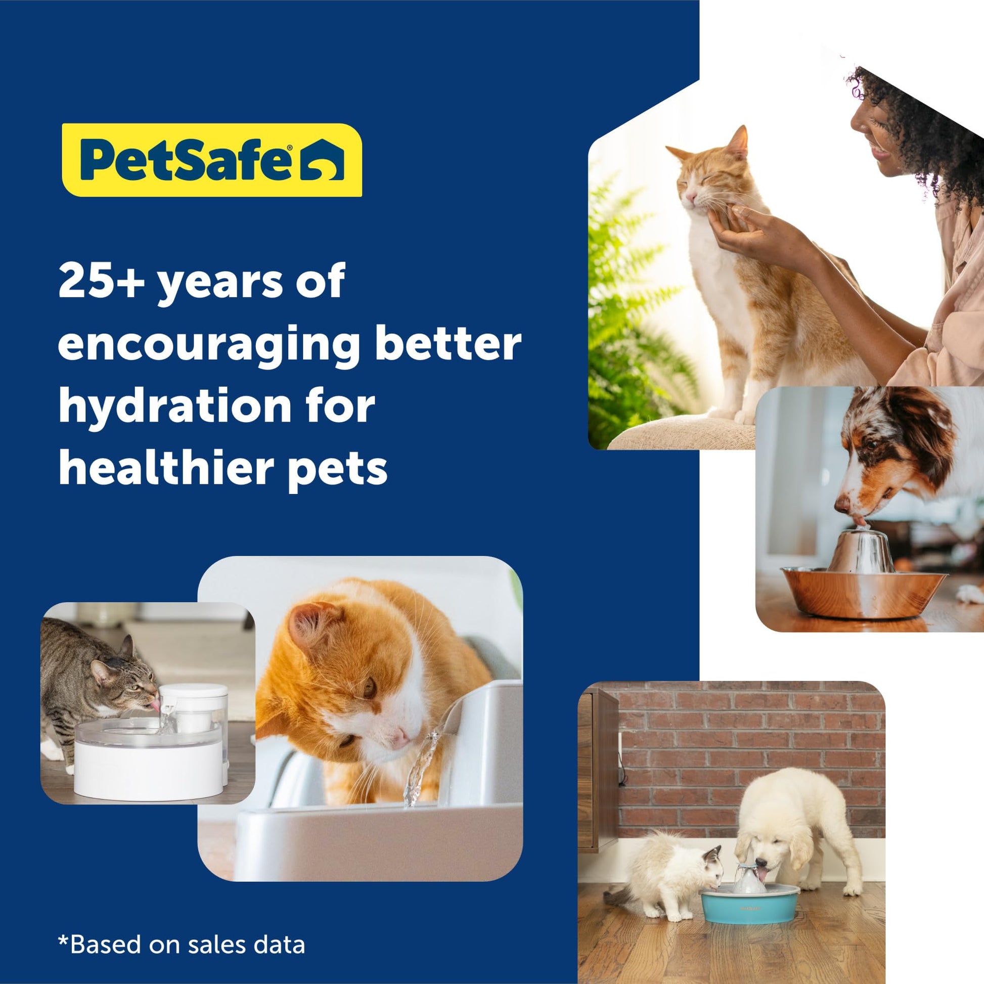 Fuente de Agua PetSafe Drinkwell Azul 1 Galón con Diseño Fácil de Limpiar y Filtro Incluido para Perros y Gatos Medianos