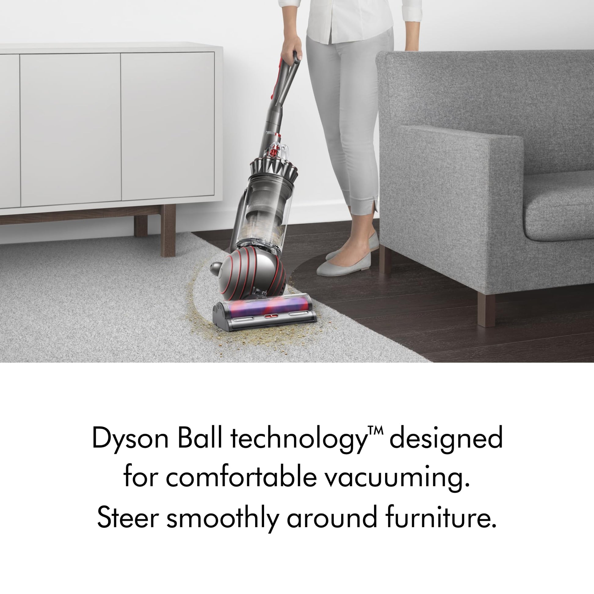 Aspiradora Vertical Dyson Ball Animal 3
