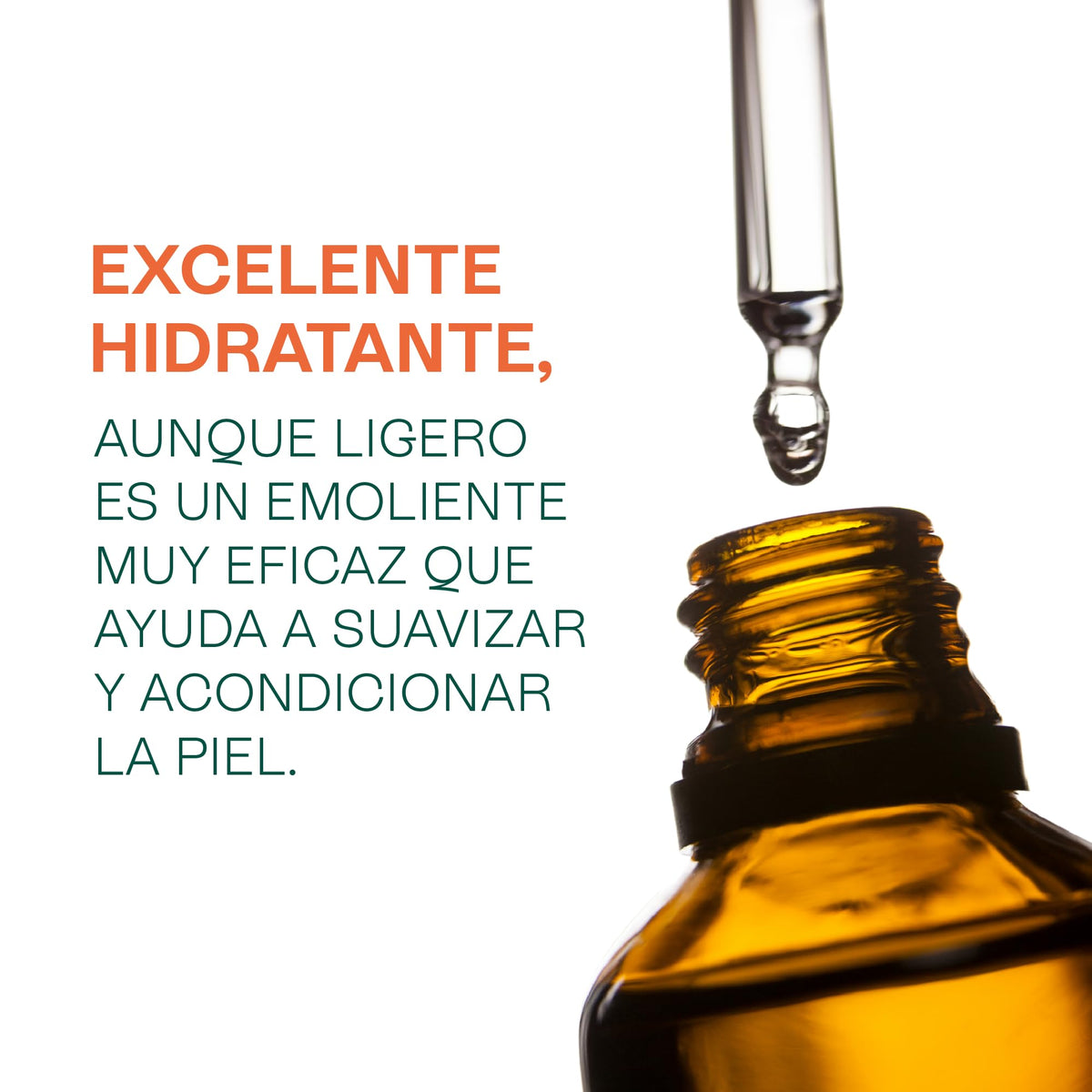 HEBBE Aceite de Coco Fraccionado 500 ml | Absorción Rápida | Hidratante Ligero para Piel y Cabello | Anti Frizz y Brillo