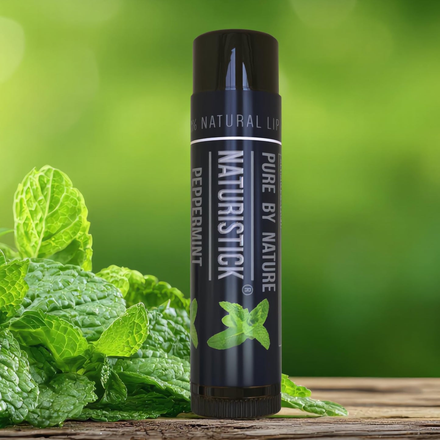 Juego de regalo de bálsamo labial natural de Naturistick, el mejor palillo curativo para labios secos, agrietados, con aloe vera, vitamina E, aceite de coco. Para hombres, mujeres y niños. Fabricado en EE.UU. (menta negra)