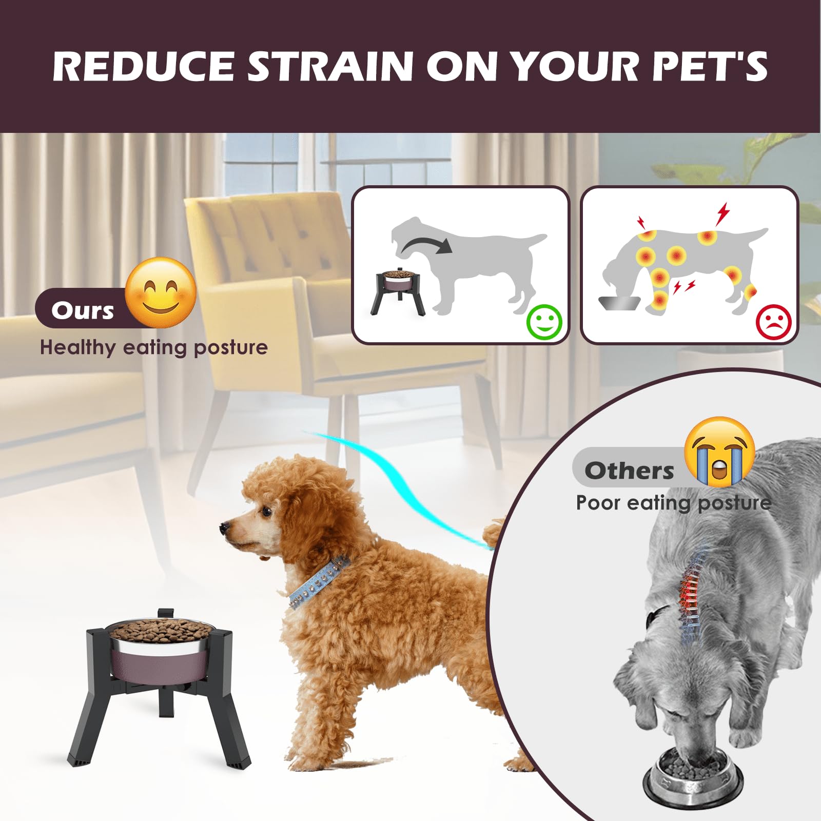 Cuencos Elevados SHAINFUN Ajustables para Perros Medianos