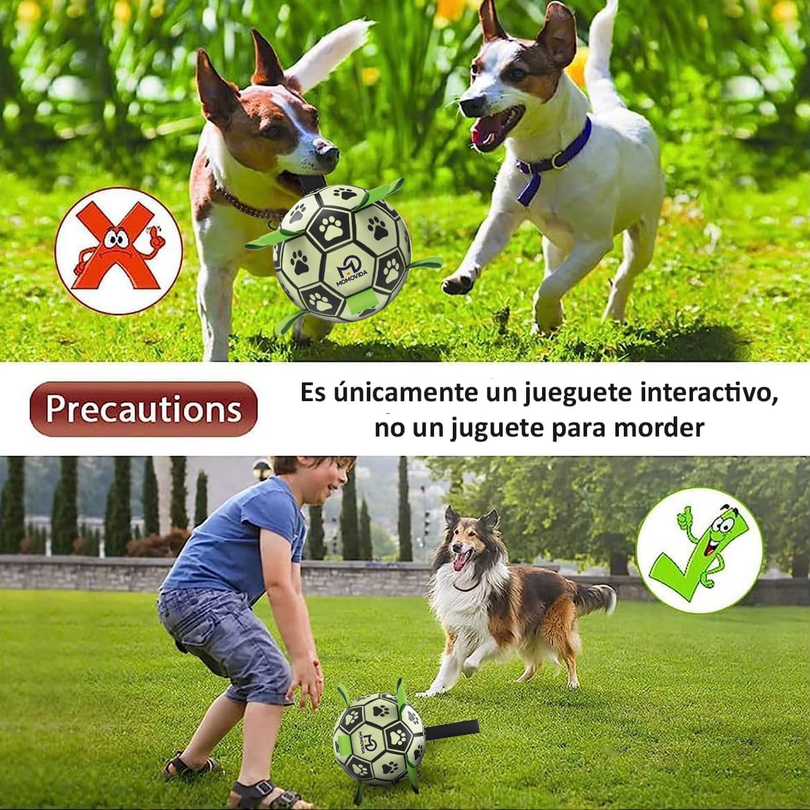 Juguetes para Perros MOMOVIDA Fútbol fosforescente Pelota Interactiva Duradera