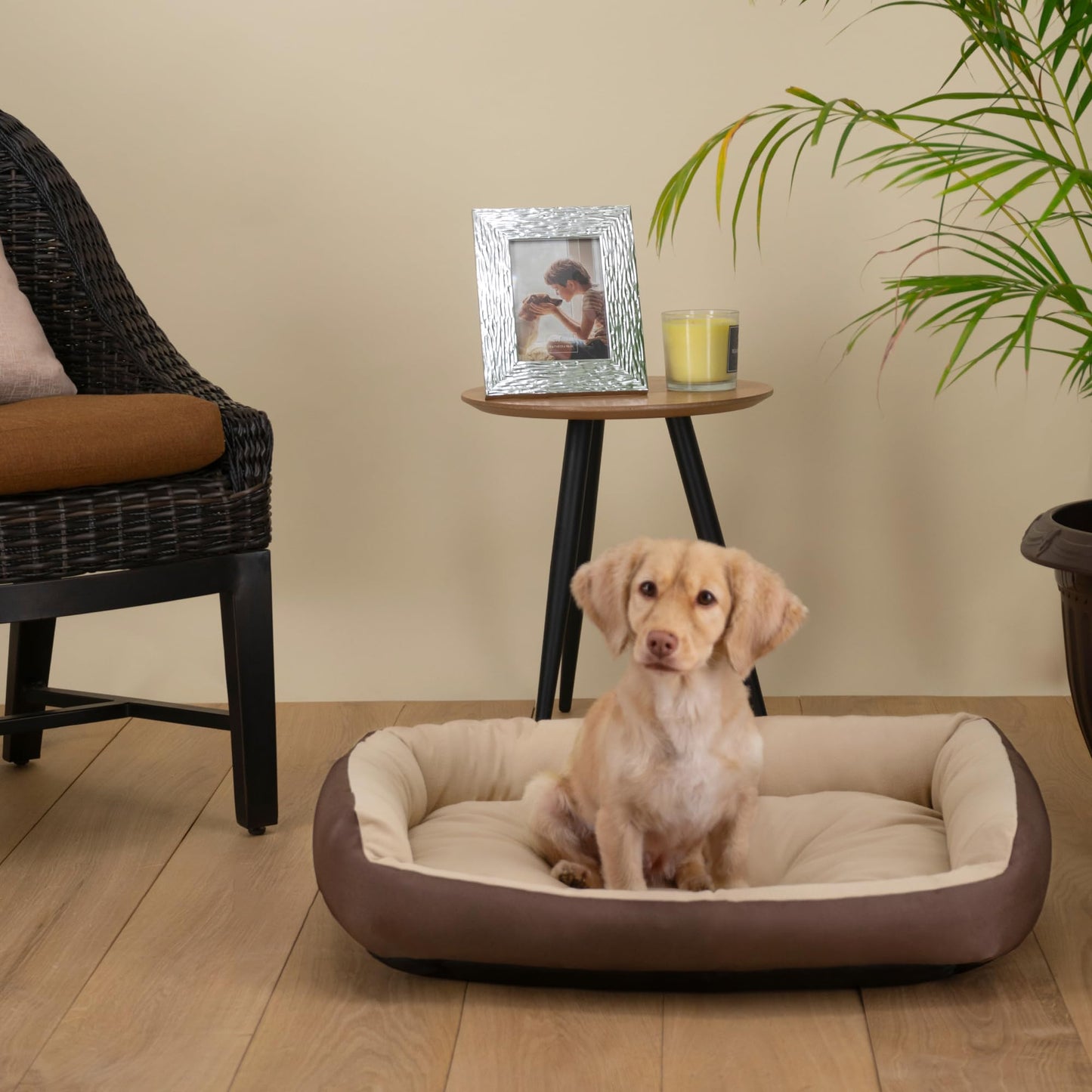 Cama para Perro Hills Cafe Beige Resistente y Confortable con Relleno Suave