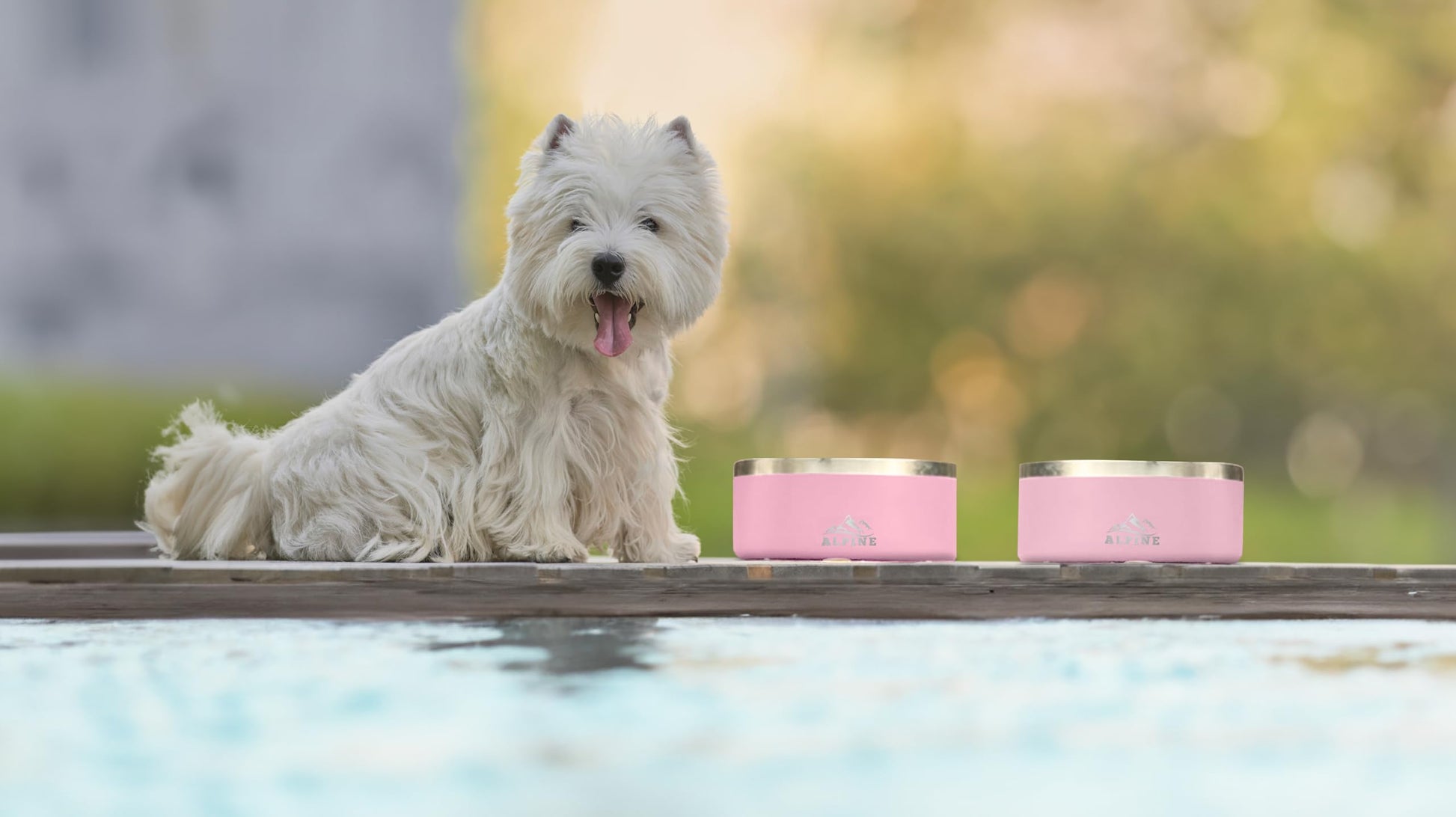 ALPINE - tazón de acero inoxidable para perros, antideslizante, tazón de metal para mascotas para alimentos y agua, aislamiento de doble pared, resistente al óxido, apto para lavaplatos, 32 onzas, paquete de 2 (negro/blanco)