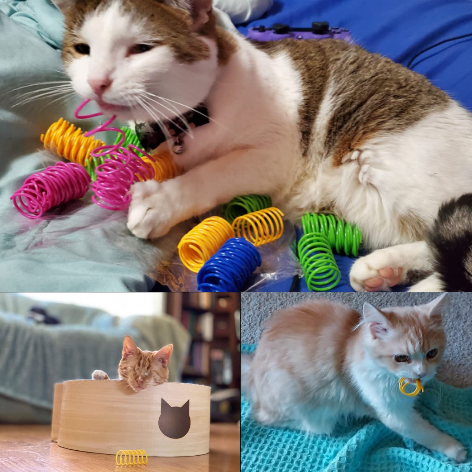 ISMARTEN - Muelles de plástico para gato, diseño de espiral, para gato, gato, mascotas, 60 unidades (color al azar)