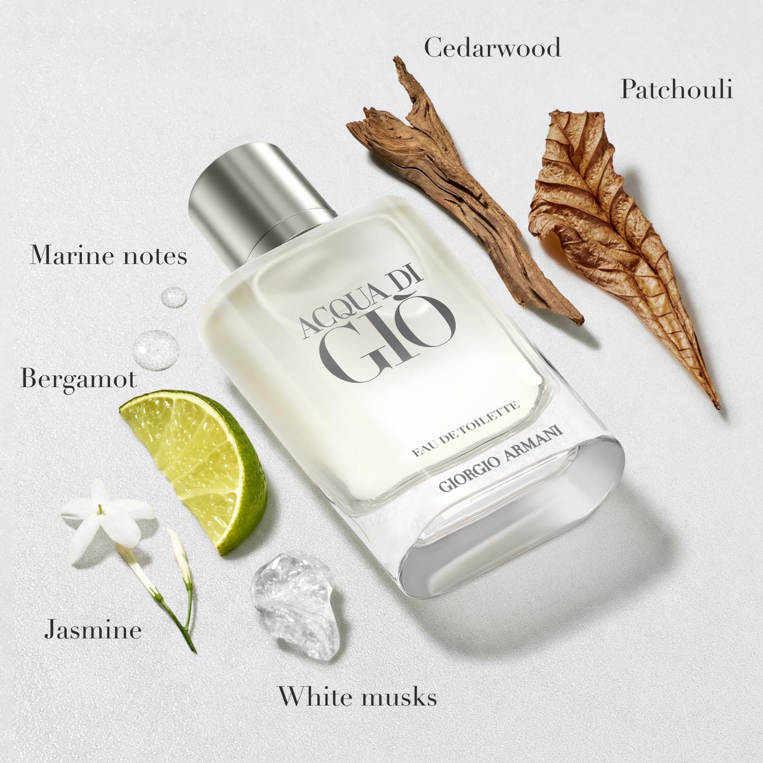 GIORGIO ARMANI - De Acqua Di Gio para hombre. Rocíe 3.4 onzas