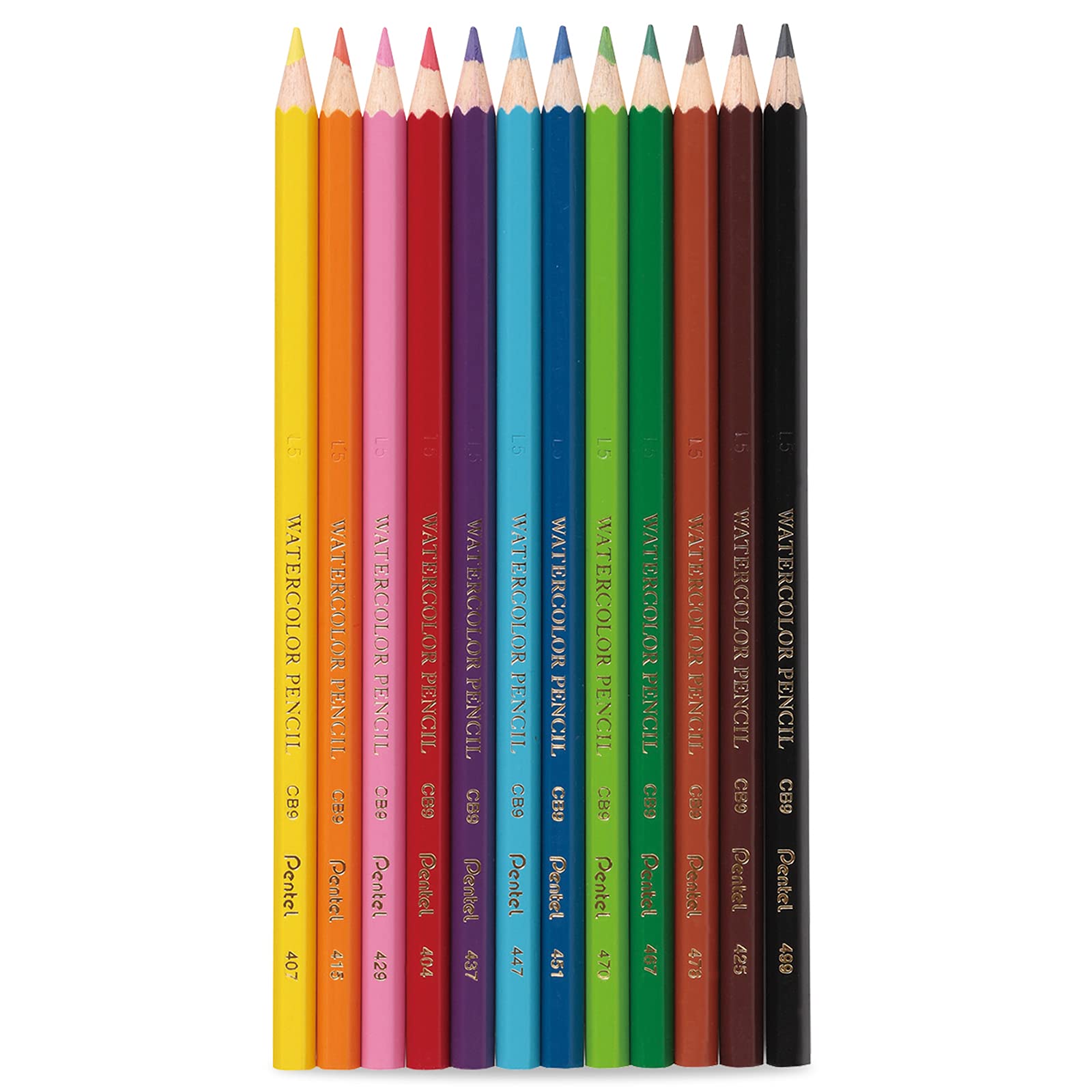 Lapices de Colores Acuareleables 2 en 1 Pentel 12 U-CB9-12-EST