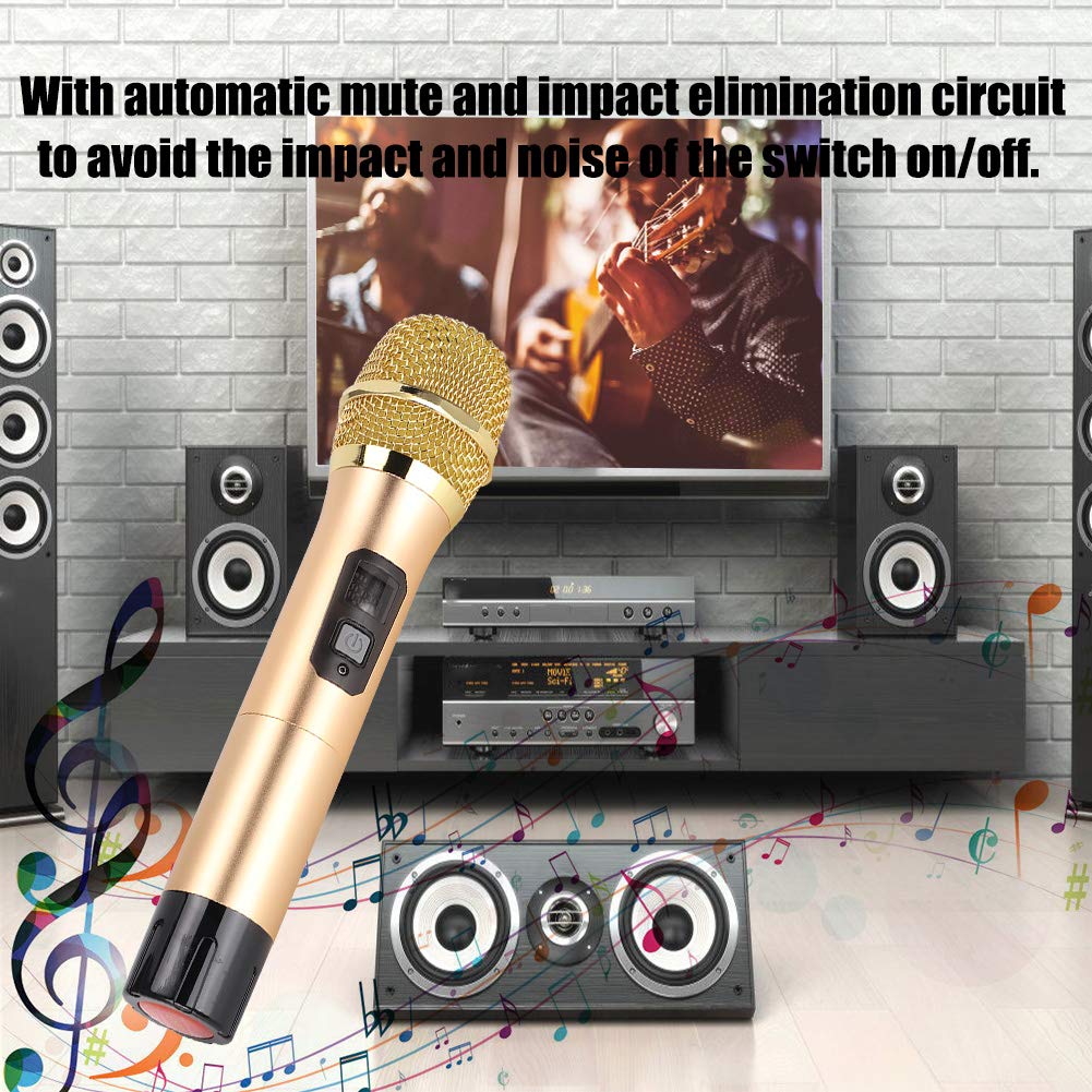 Micrófono Inalámbrico Dual Recargable UHF con Mini Receptor Bluetooth para Negocios, Iglesia y Hogar