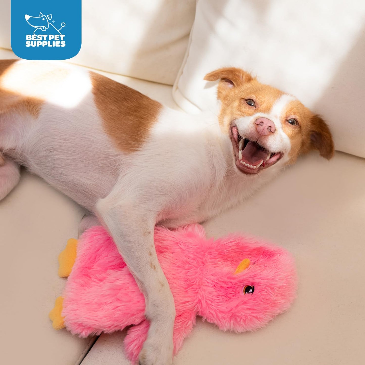 Best Pet Supplies - Juguetes de Peluche para Perros de Pollo Arrugado para Juegos interactivos, Cachorros y Adultos Mayores, Forma de Juguete de Pollo Colorido, Lindo y mimoso, Pollo Arrugado (Rosa)