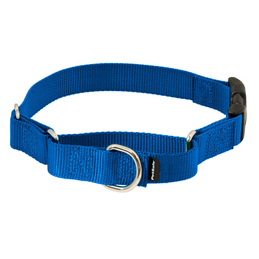PetSafe Martingale Collar con Hebilla de Cierre rápido, 1 Pulgada, Grande, Azul Real
