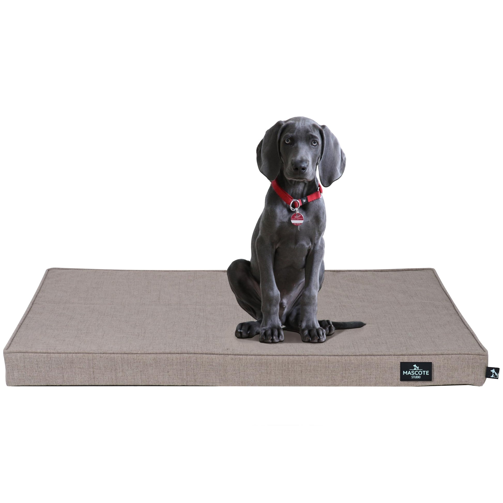 Cama Ortopédica Mascote Studio Bobo para Perro