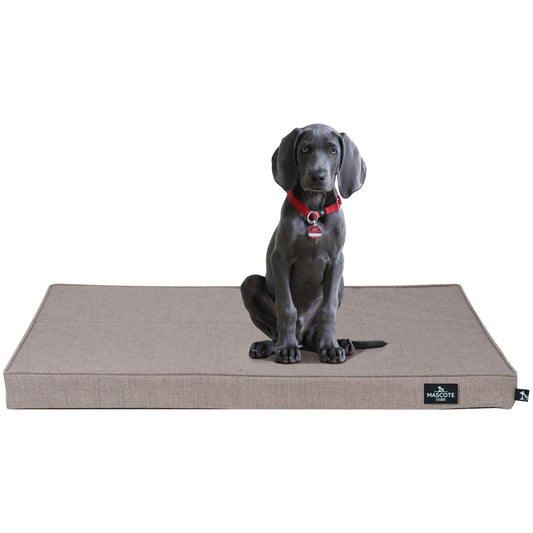 Cama Ortopédica Mascote Studio Bobo para Perro
