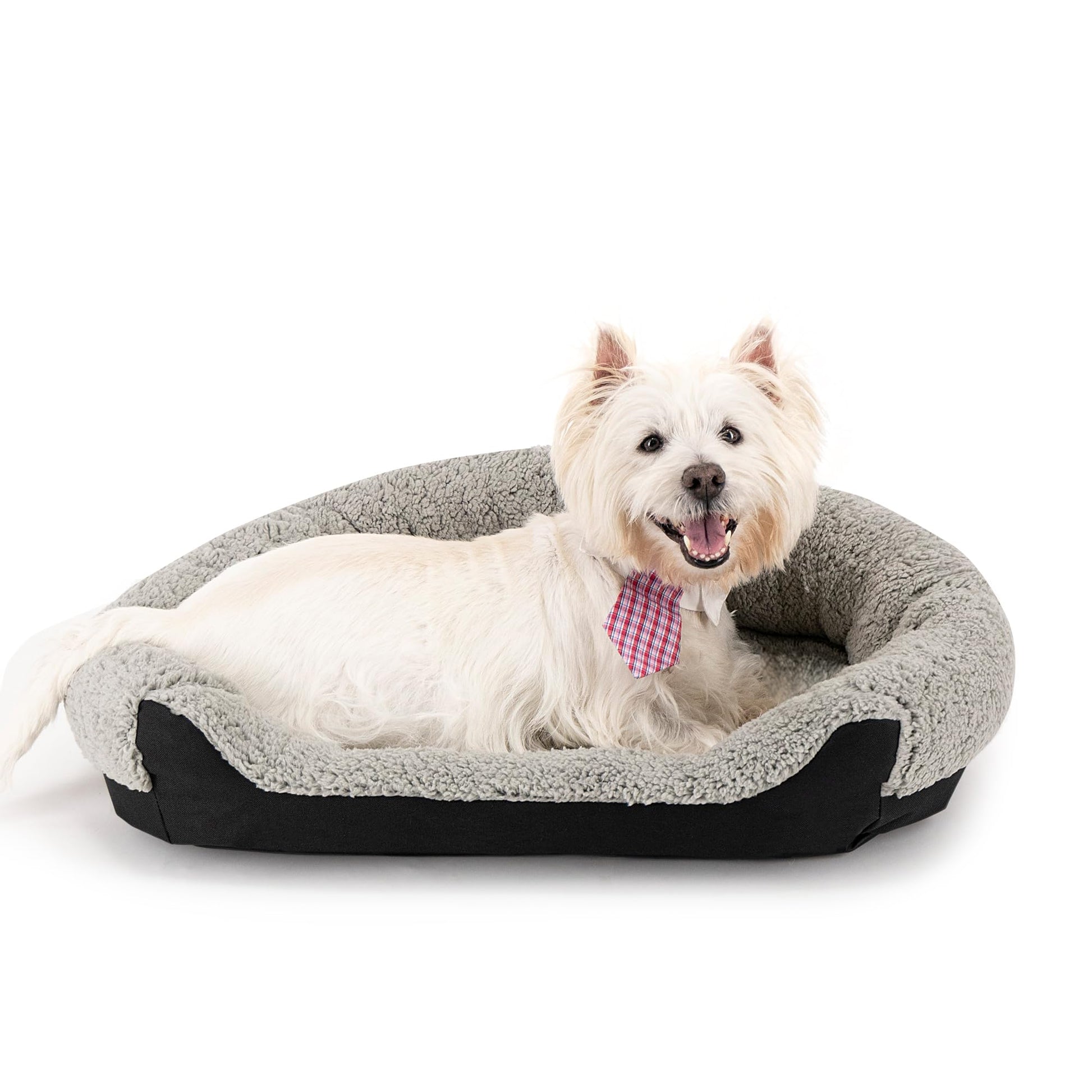 Cama para Perro Hills Negra con Forro Acolchonado Medium