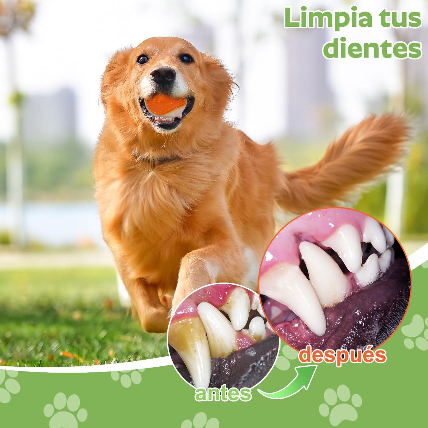 Pelota de Juguete ZHEYU Luminoso Durable para Perros