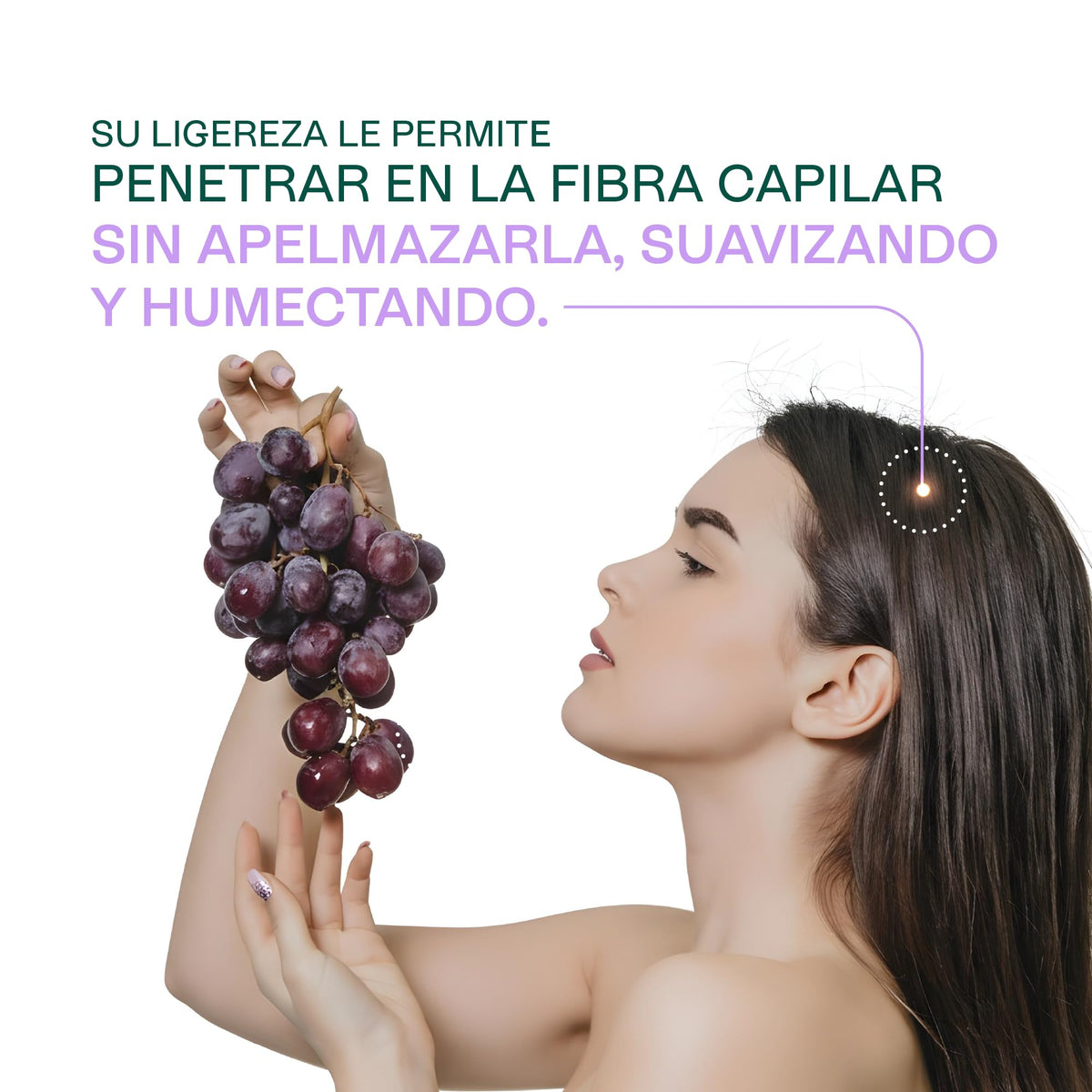 HEBBE | Aceite De Pepita De Uva 100 Ml | Antiedad Nutritivo Y Revitalizante | Rico En Antioxidantes | Ligero Y Ligeramente Astringente | Excelente Para Masajes