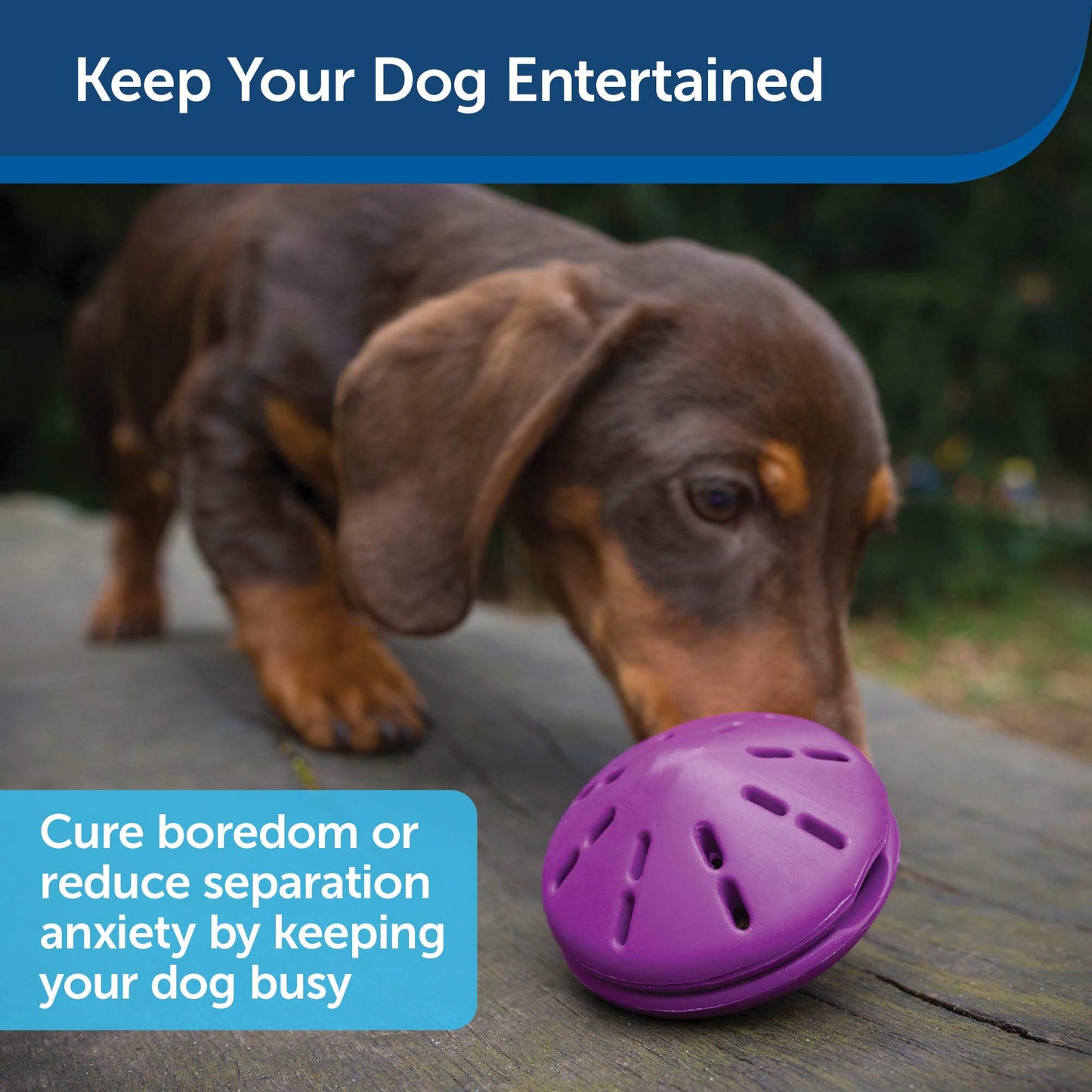 Juguete para Perro PetSafe Busy Buddy Twist n Treat Mediano