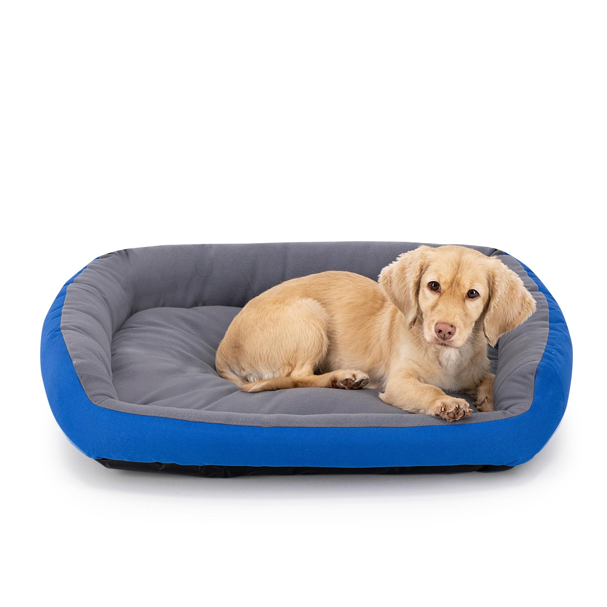 Cama para Perro Hills Azul Resistente y Confortable con Relleno Suave Medium