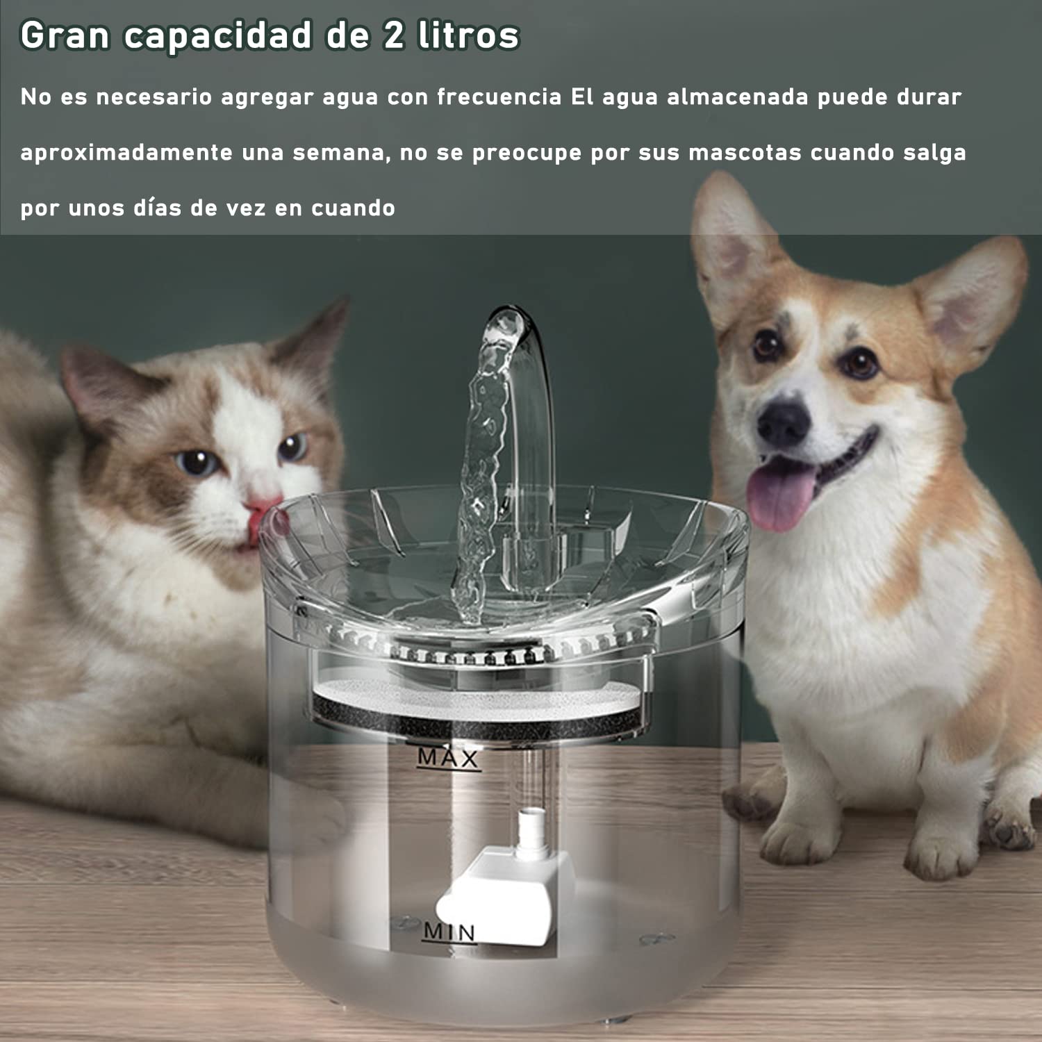 Fuente De Agua Para Gato y Perro, 2L Dispensador de Agua para Perros, Fuente de Agua Potable para Mascotas,Con 1 Filtros de Repuesto, Una Bomba Ajustable,Una Alfombrilla de Silicona Para Alimentos