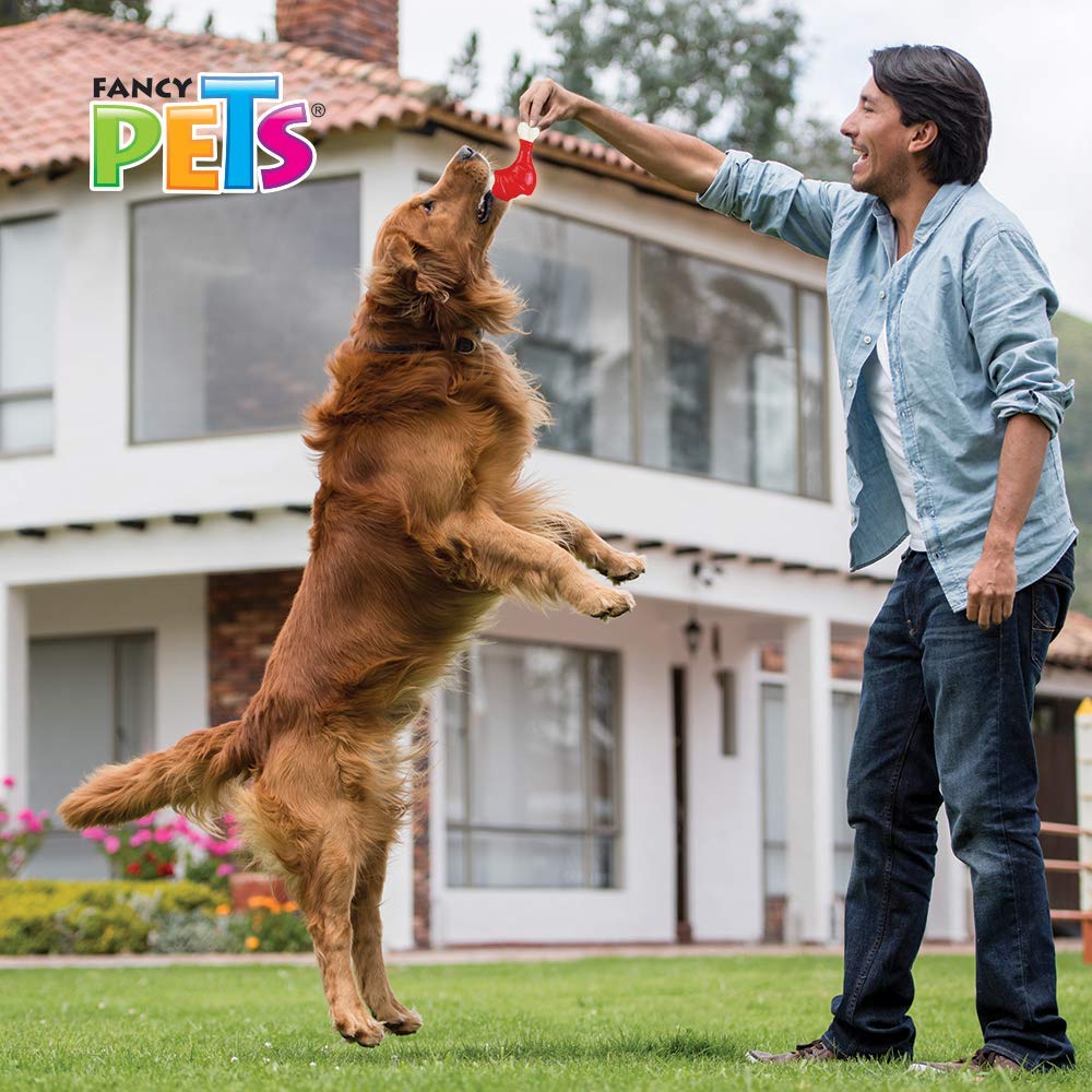 Juguete Dental Fancy Pets Sabor Pollo Pierna de Pollo para Perro