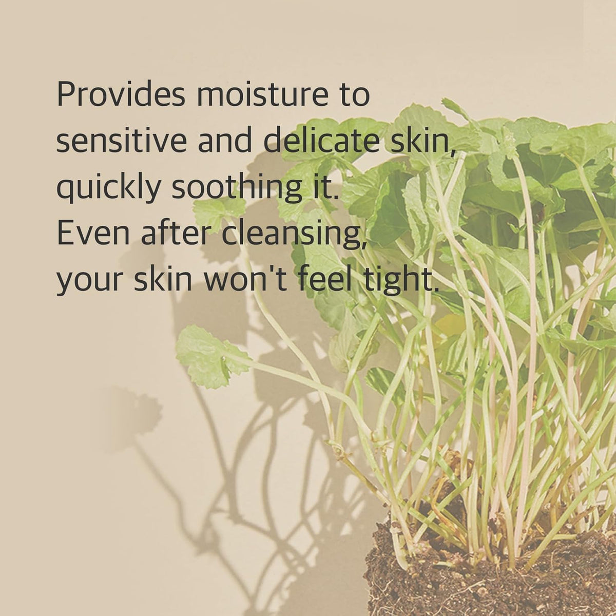 Centella Cleansing Foam – Espuma con CICA y ácido salicílico, 150 ml