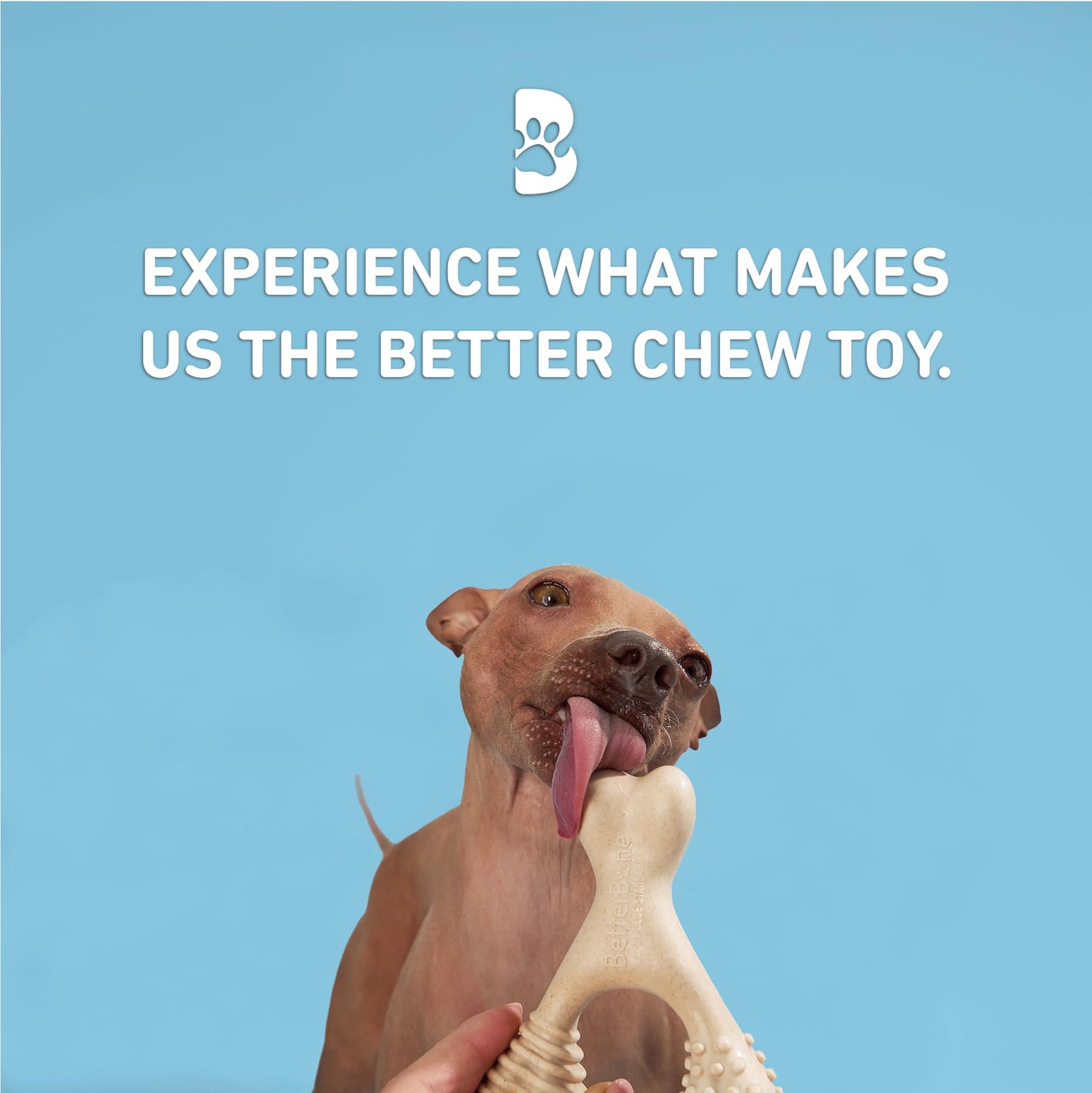 BetterBone - Juguetes masticables para perros totalmente naturales, sin nailon, densidad suave, ideal para masticadores ligeros a moderados, no tóxicos, promueve la salud dental, resistente a las