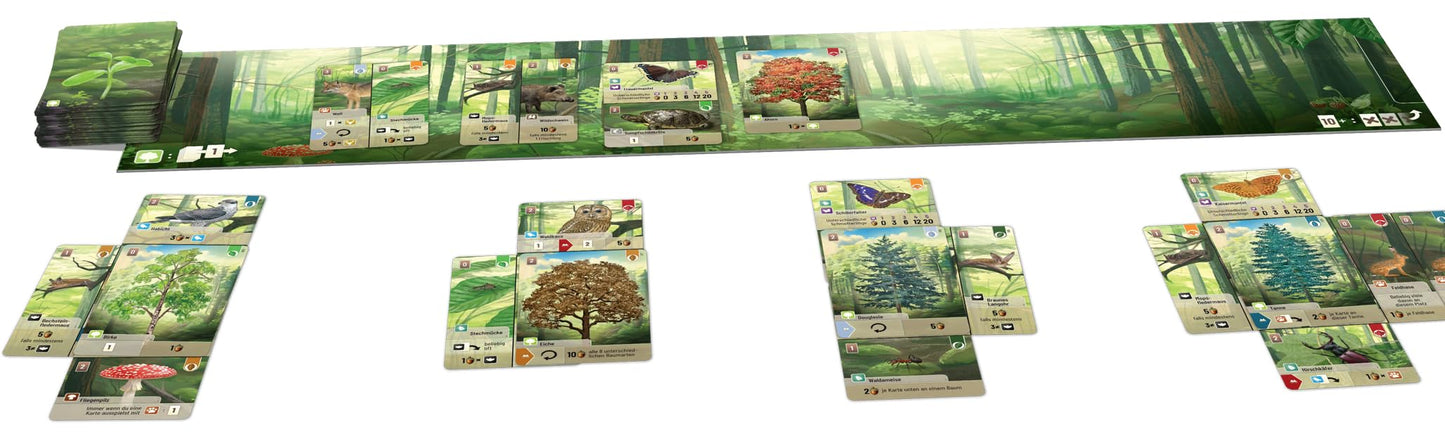 Lookout Games Forest Shuffle Woodland Edge - Expansión de Juego de Cartas - 36 Nuevas Especies y árboles para un Juego Mejorado Juego de Estrategia para niños y Adultos, a Partir de 10 años, 2-5