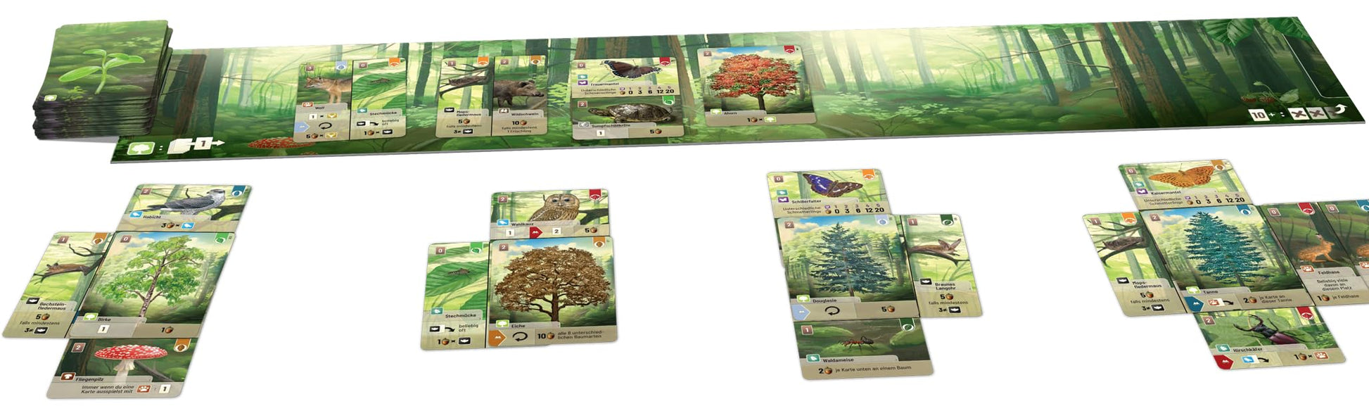 Lookout Games Forest Shuffle Woodland Edge - Expansión de Juego de Cartas - 36 Nuevas Especies y árboles para un Juego Mejorado Juego de Estrategia para niños y Adultos, a Partir de 10 años, 2-5