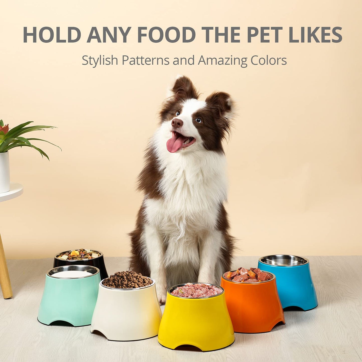 Comedero Elevado Yoken Acero Inoxidable Colorido Antideslizante para Perros Medianos/Pequeños
